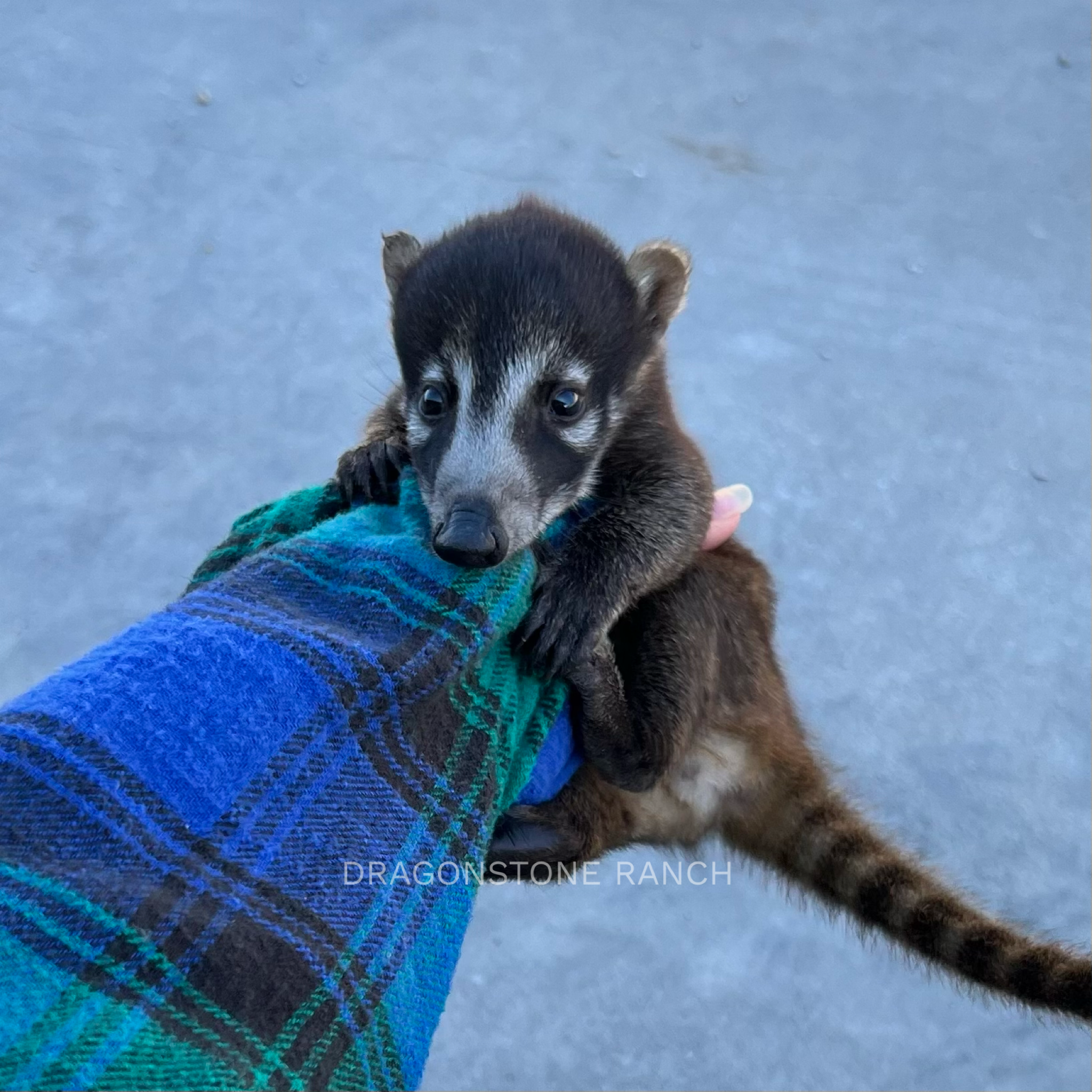 882CEDFE-1AB0-4214-8544-E5F9CE5D57A7