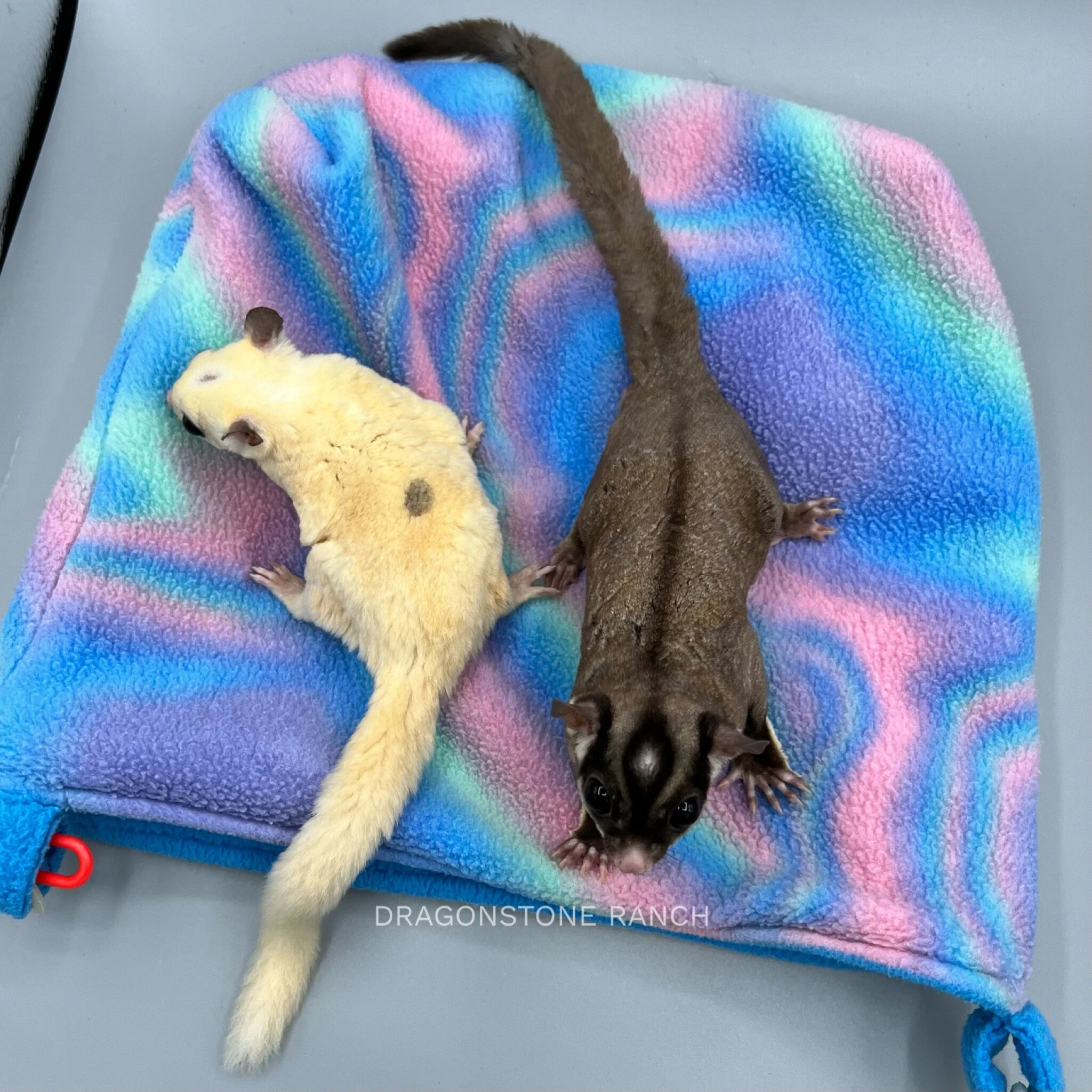 3B164C72-90BC-44B1-915A-BCDF700B7B9A