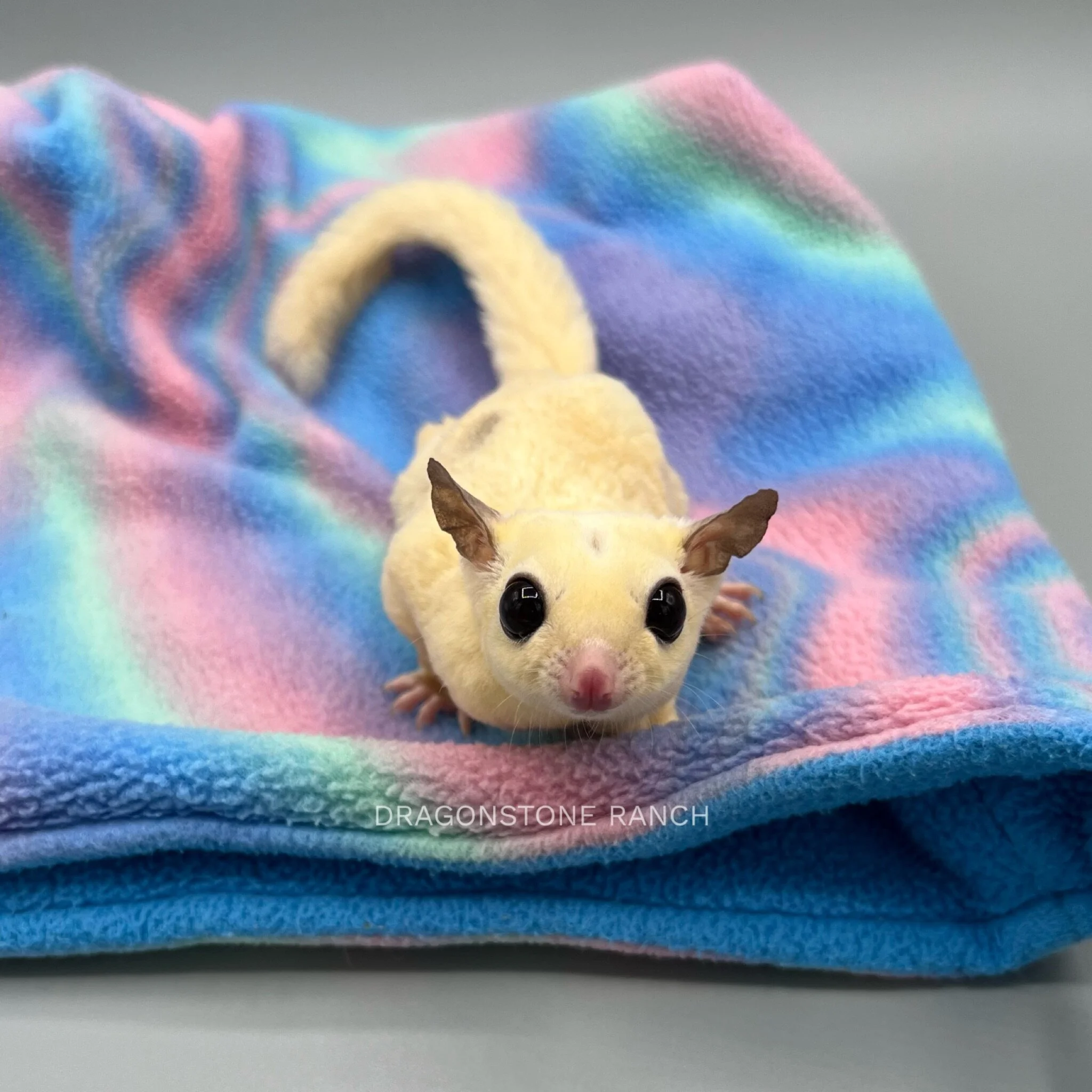 62E9FF64-84B5-4A53-AD08-F8D691FC603E