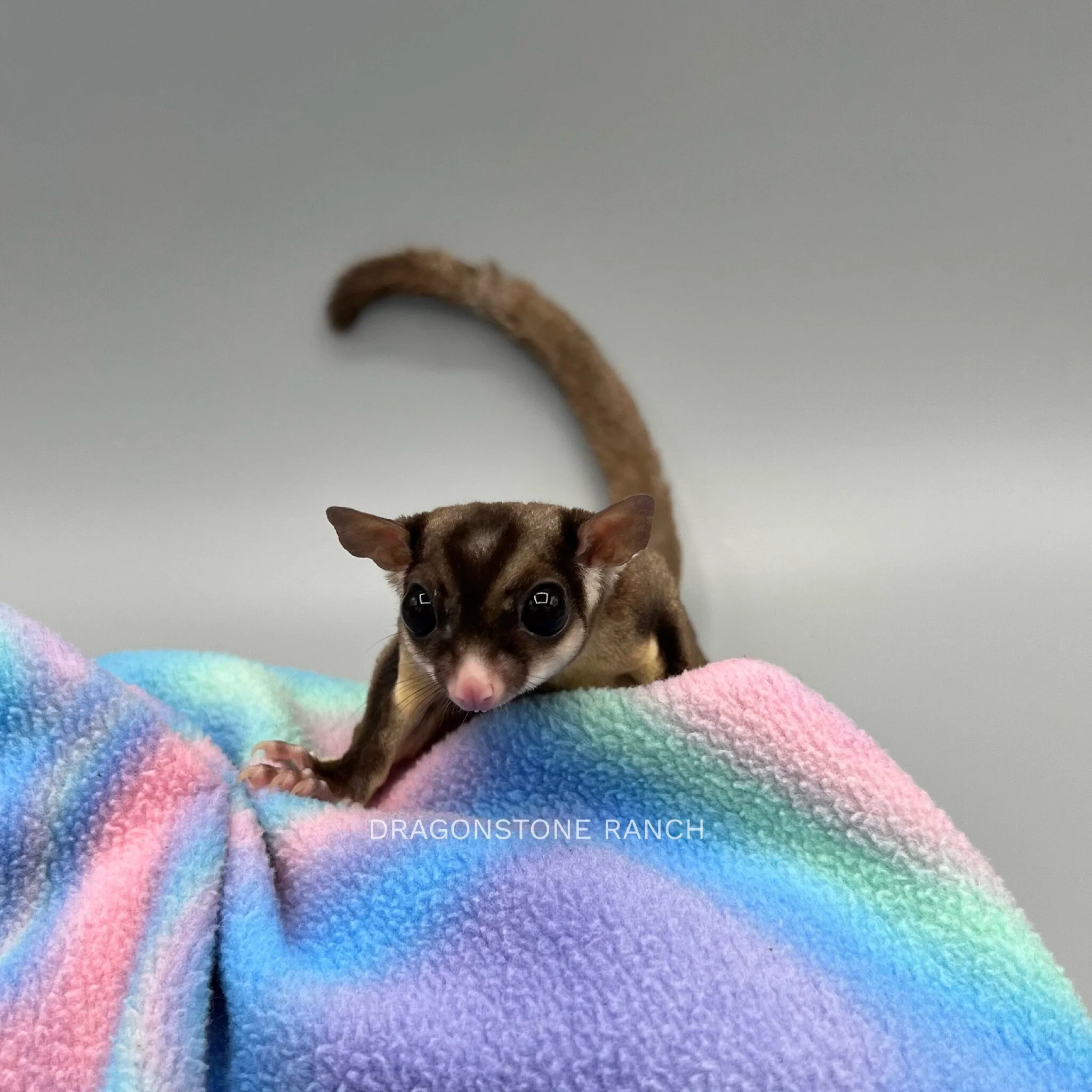 76D869B5-538A-449D-B8F3-3F3069E8FF69