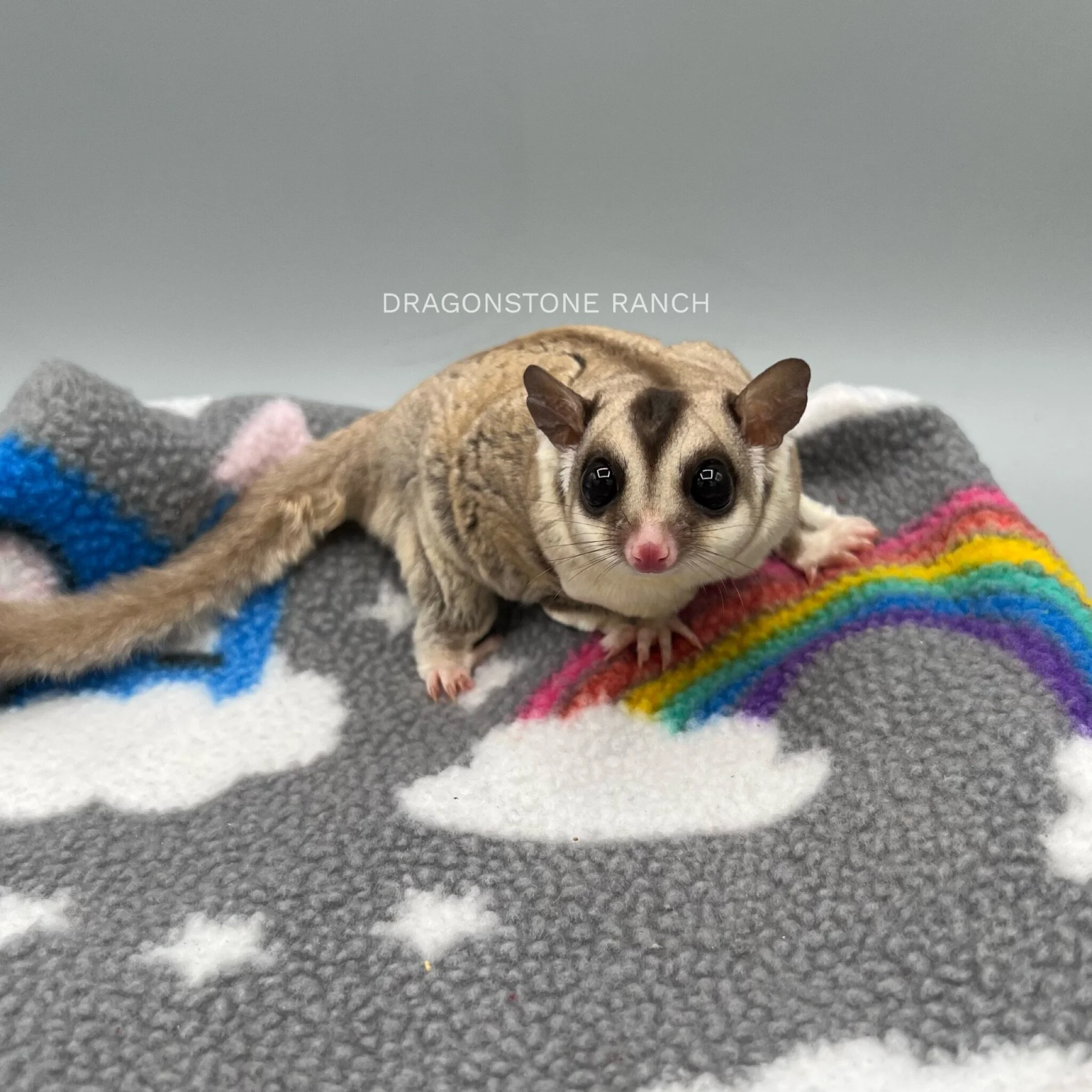 BA7F74C9-4E4B-48AA-9648-A7FA53FD2CFE