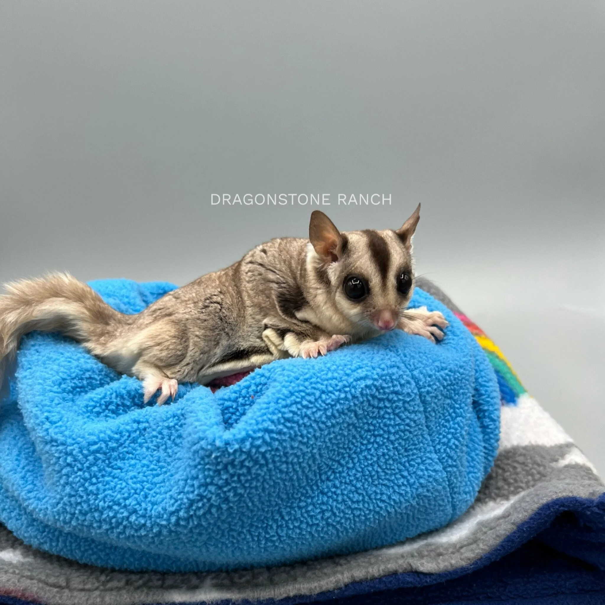 8A44E3AF-2AE0-4F95-8C7A-2D4A5E185F3E