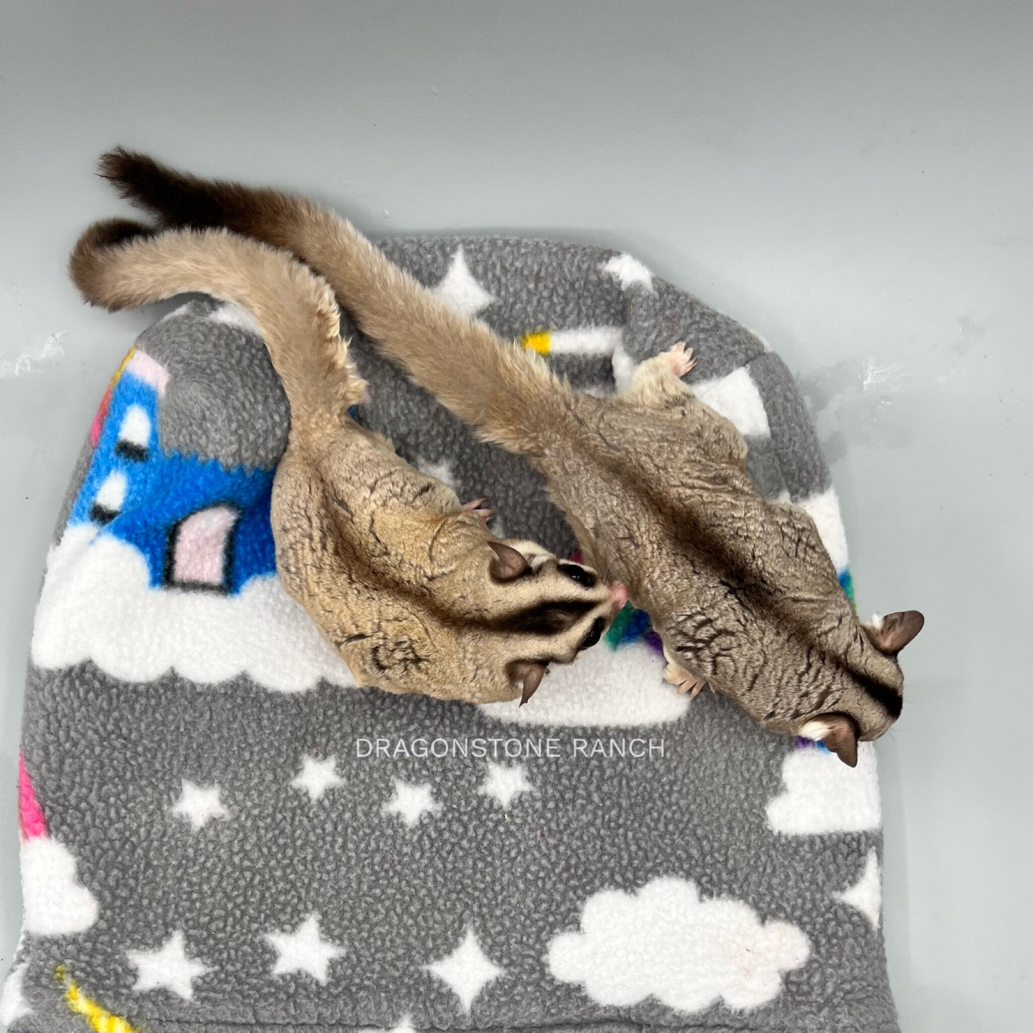 D86DB957-BEE1-40E0-A5E7-935875731FB2