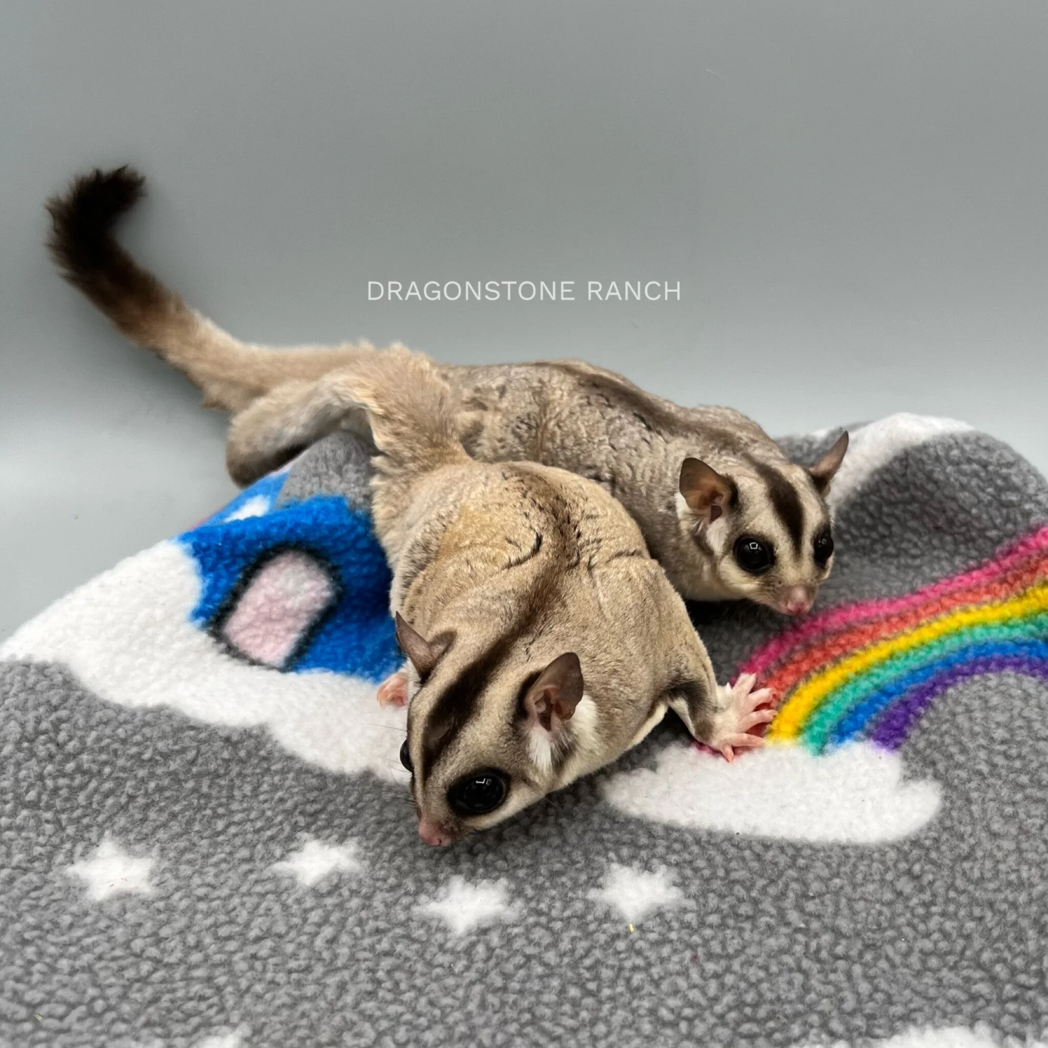 6F412211-BE24-4427-AC55-C7F278E594B3