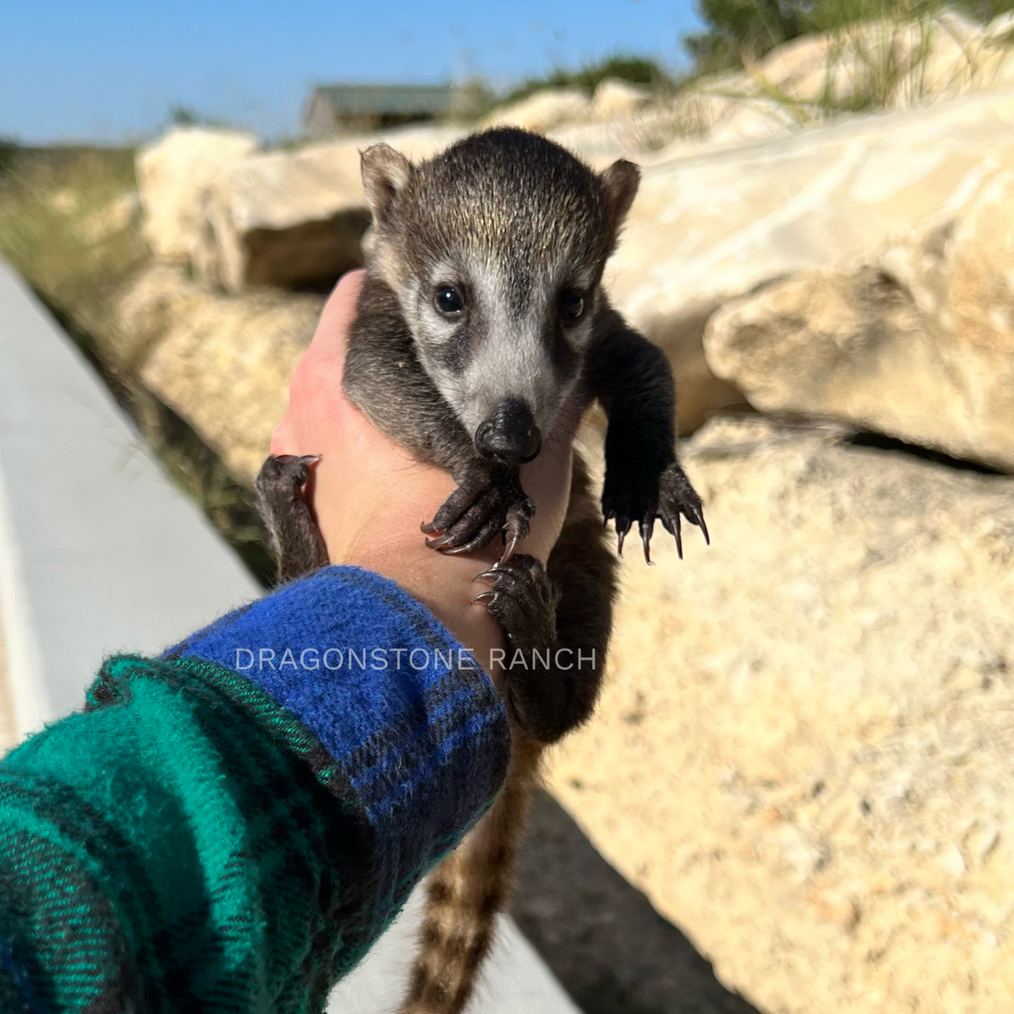 2E99BCC1-BE8E-4FEC-B84C-1A1708EB84CF