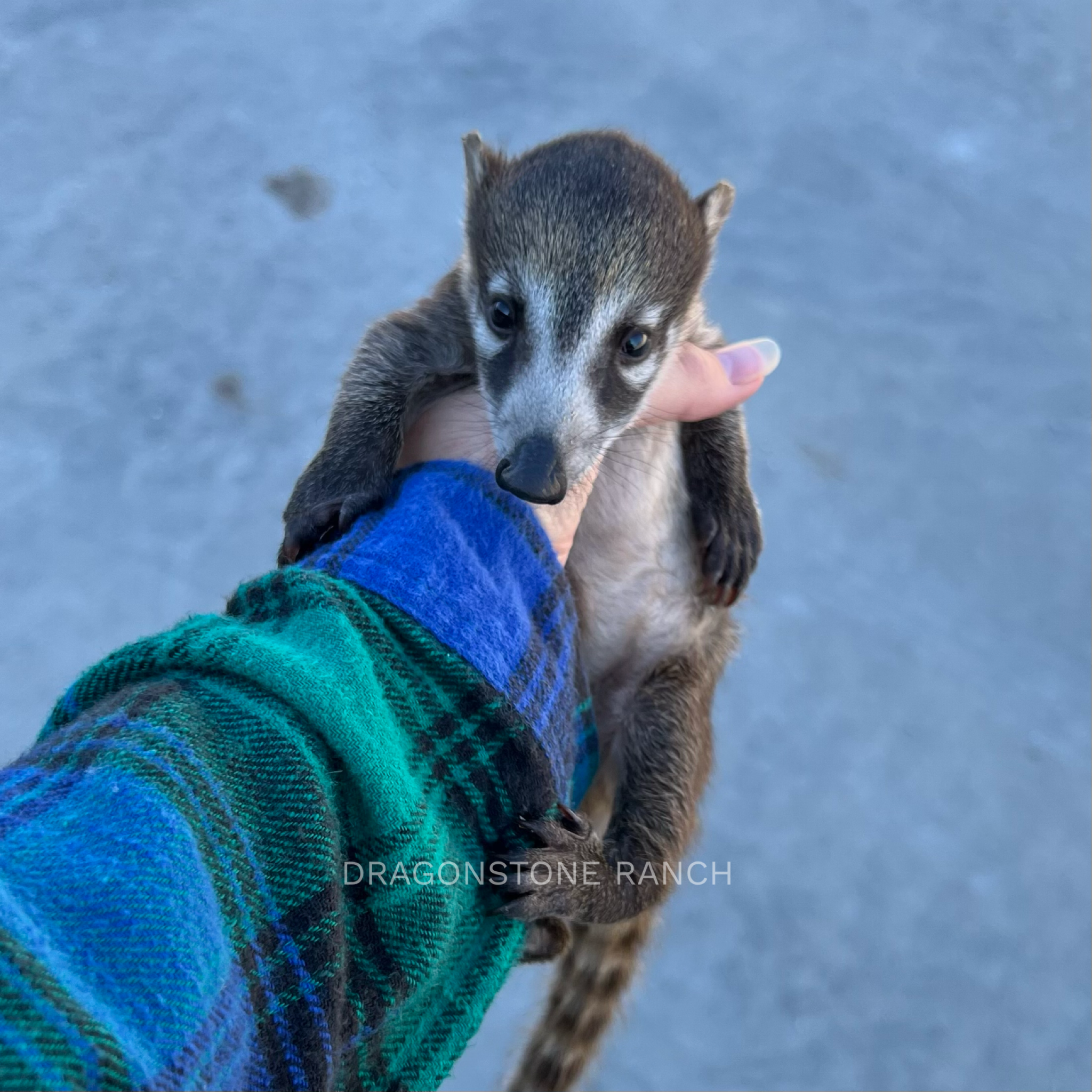 562DDF6B-7D6A-4AD0-A9D4-A5E22737D1A9