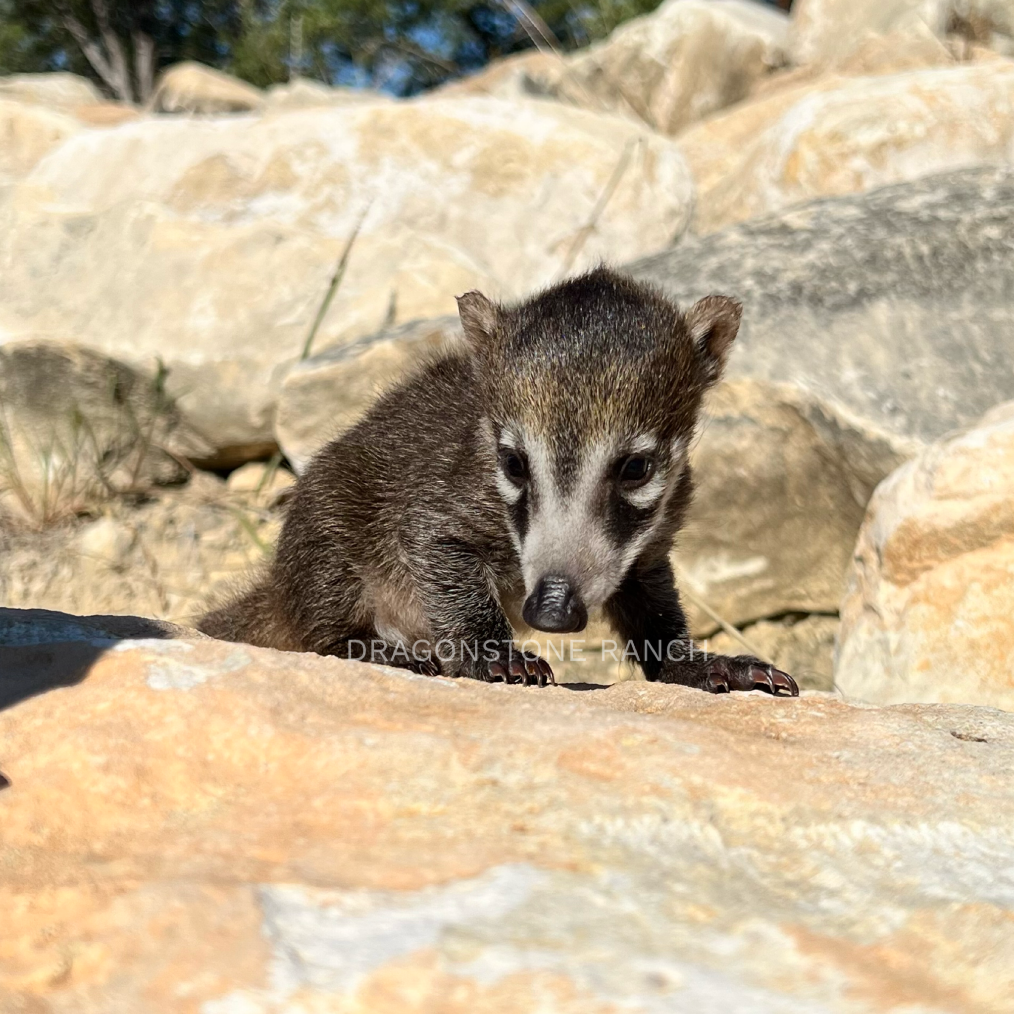 6A613C5A-26F5-4602-8445-9831B6E9F36D