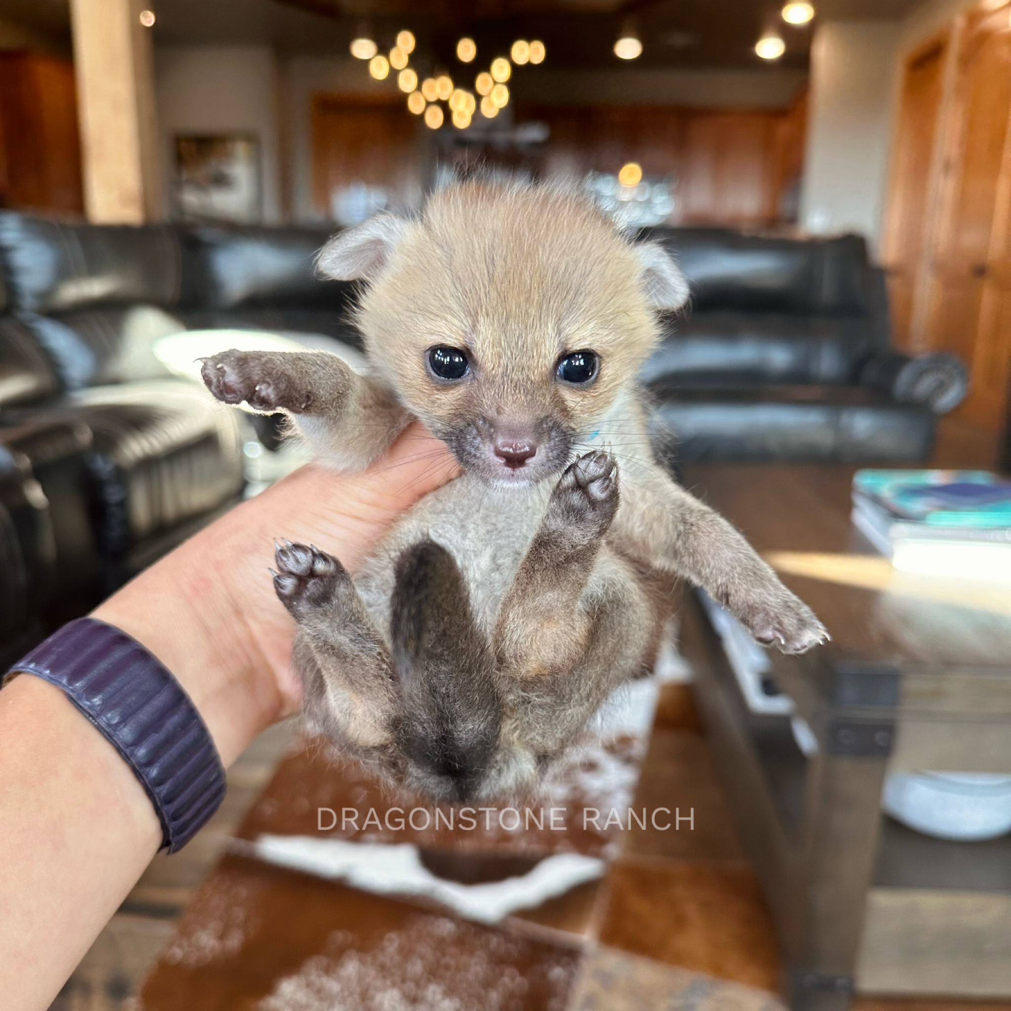 FB046EBC-ADAF-49F0-B101-684D2C69F56F