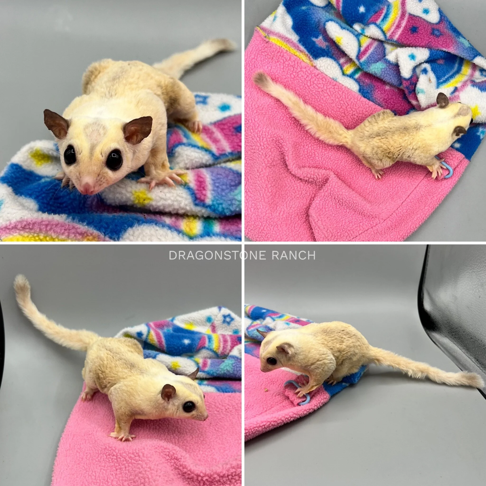 E424FEC4-518A-4D55-B13E-2A7F8A9367D0