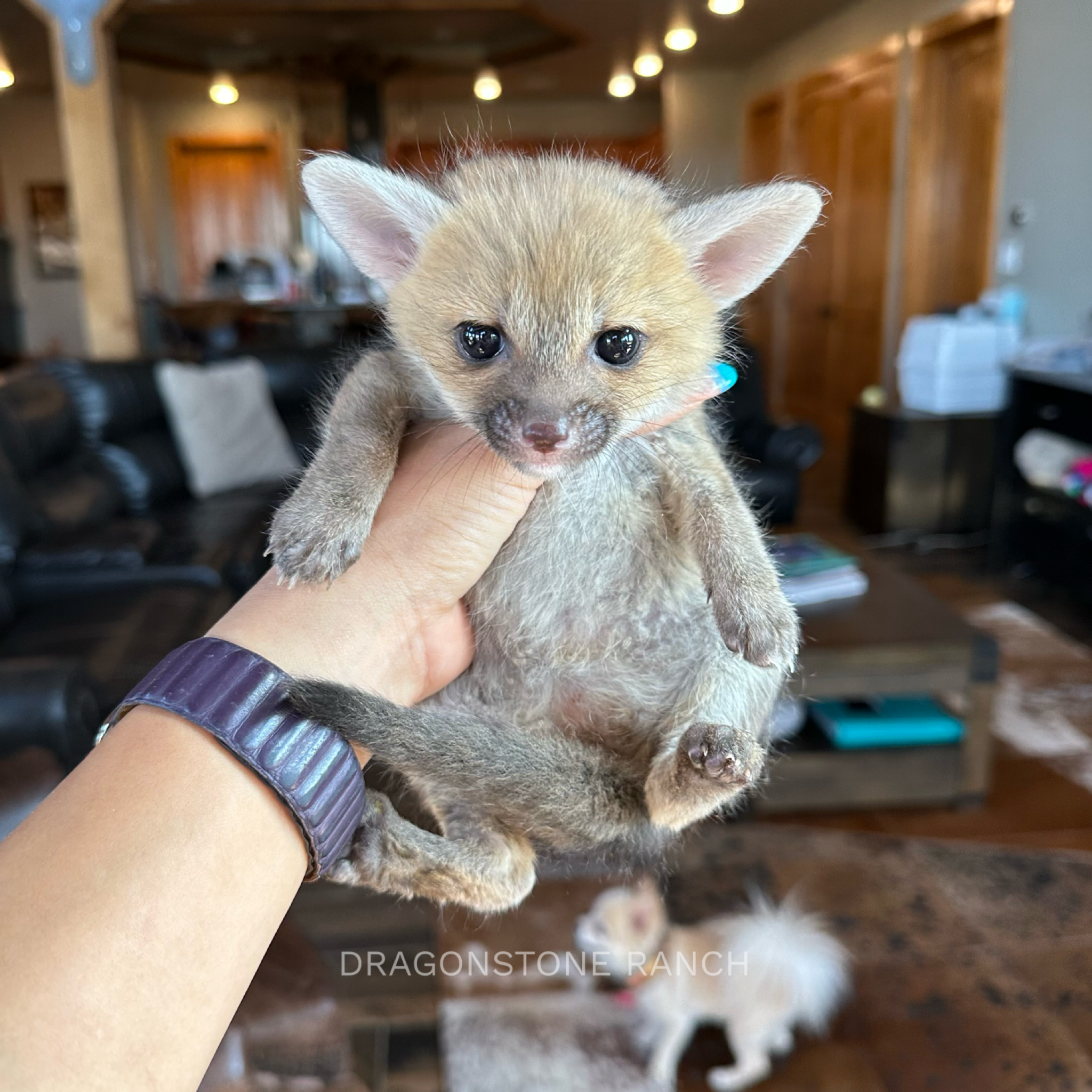 012DD9D0-A30B-4802-BAA2-0AB3C76AD8CF