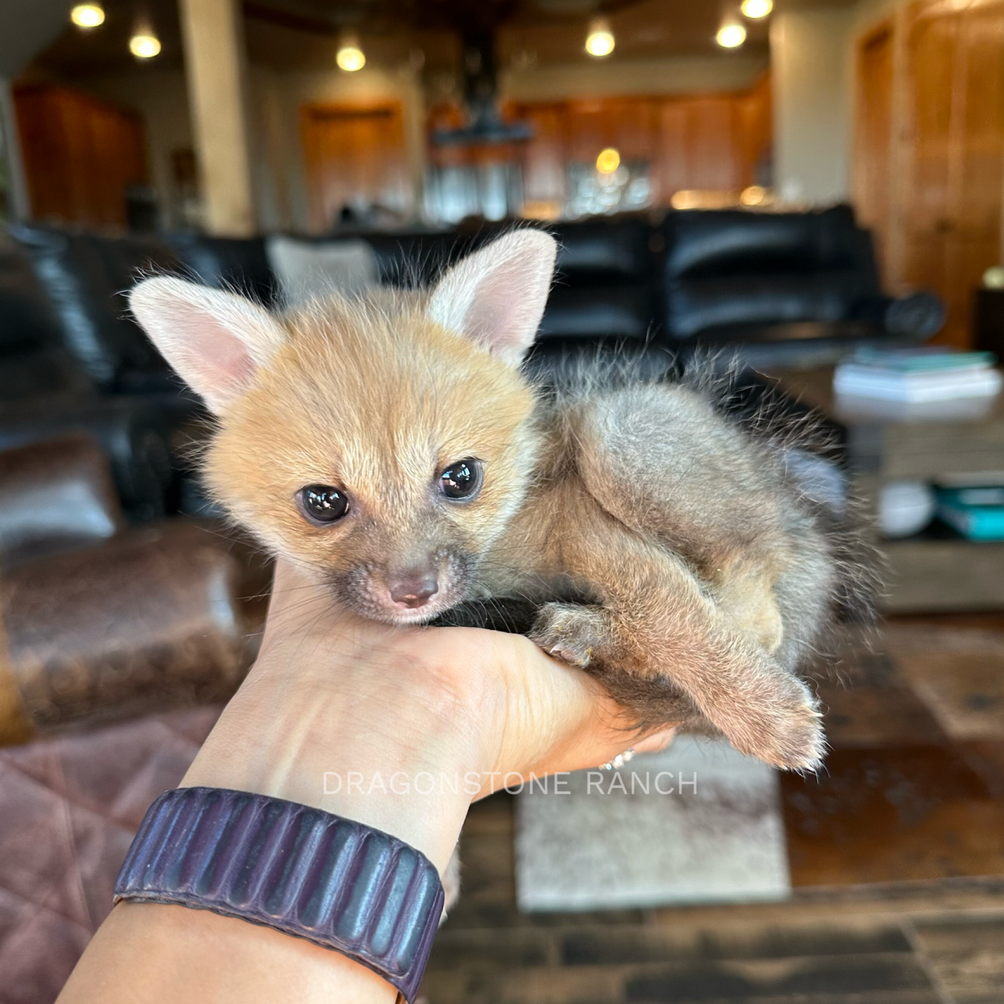 0AE15A0F-C2B1-446C-87AC-C53129F7D5F0