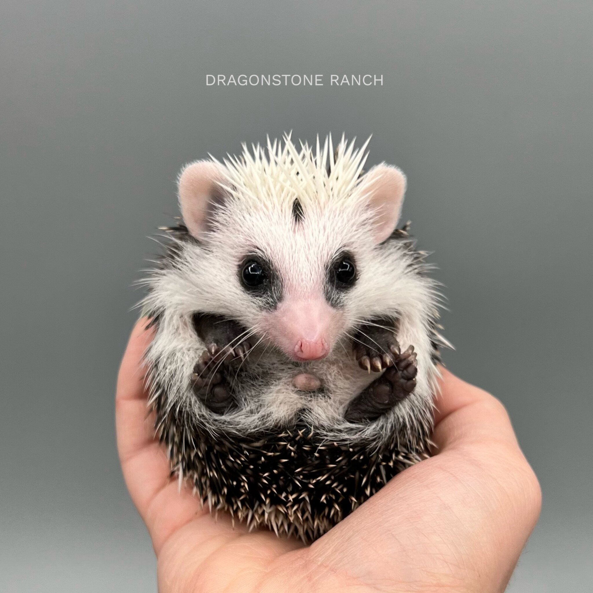 02367D3D-BB18-4358-8AF7-11A1BF5F14AF