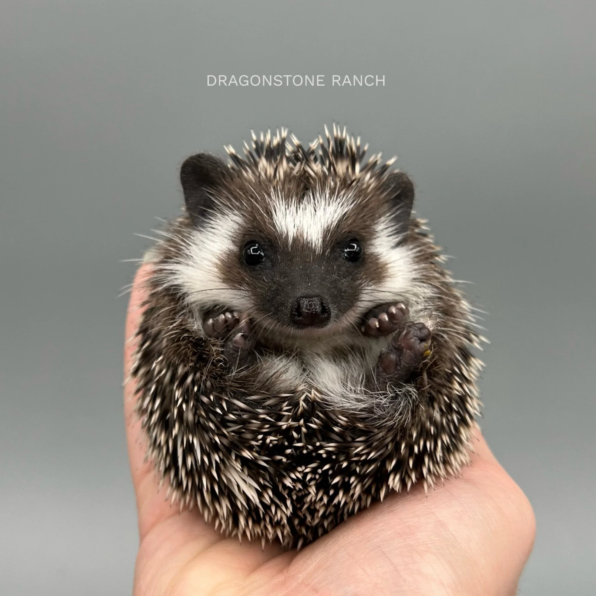 24FA107A-9455-41CA-A42C-777E4D26FA94