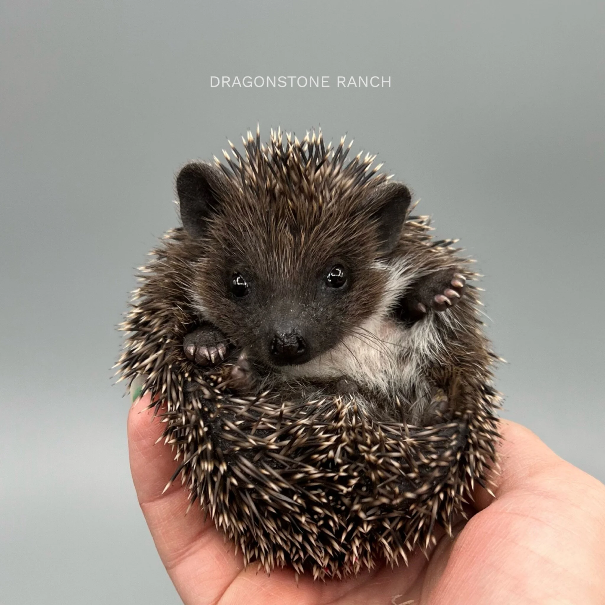 8C4D9B04-745E-42E0-9DBA-3A489F87E58D