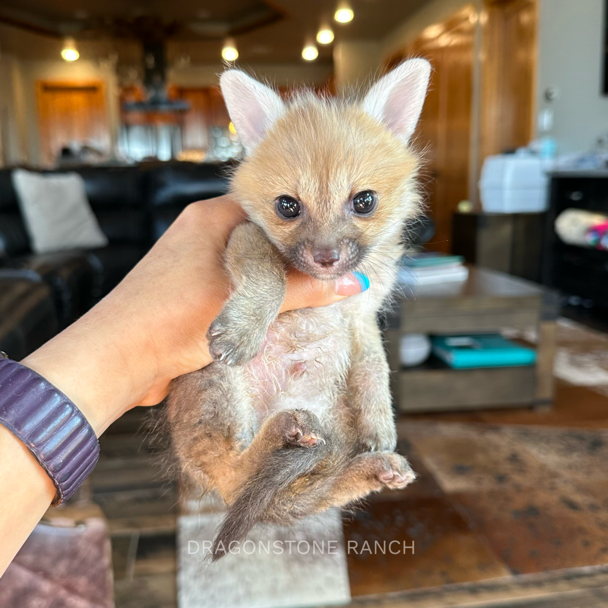 D646617C-69E2-4FA5-9887-E1C8AFAD82AE