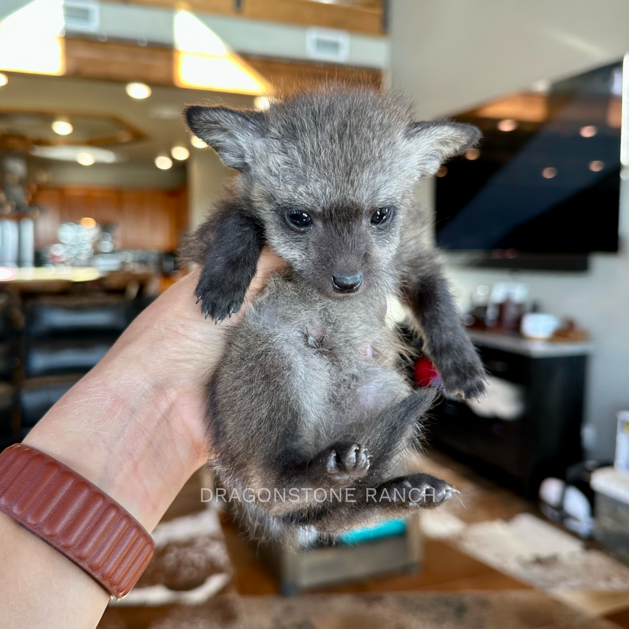 25394ED3-7AFE-4EDC-9E3D-EB99722A8BCD