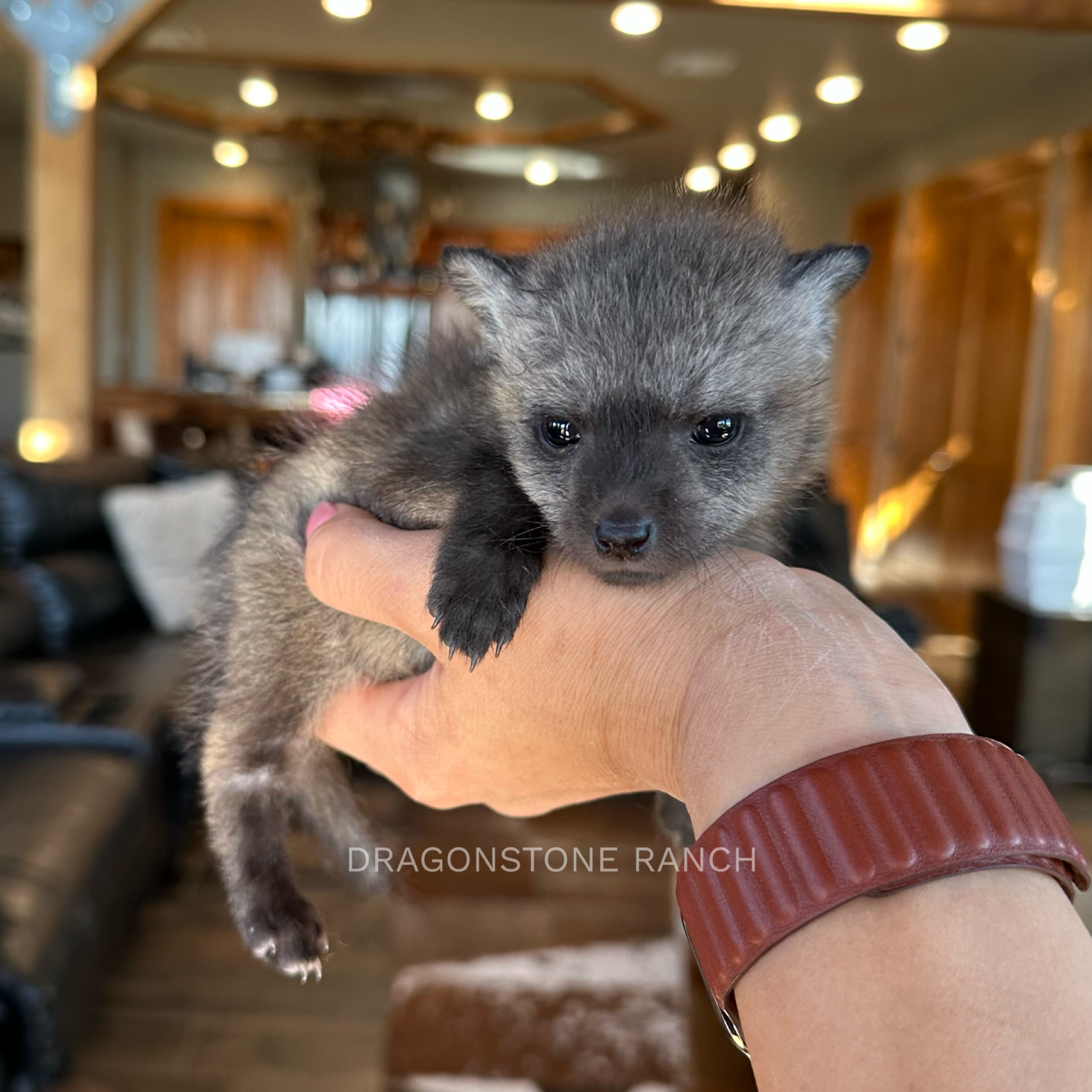 84CBF5A9-BC71-43AF-A88E-CFF39F97DAAD