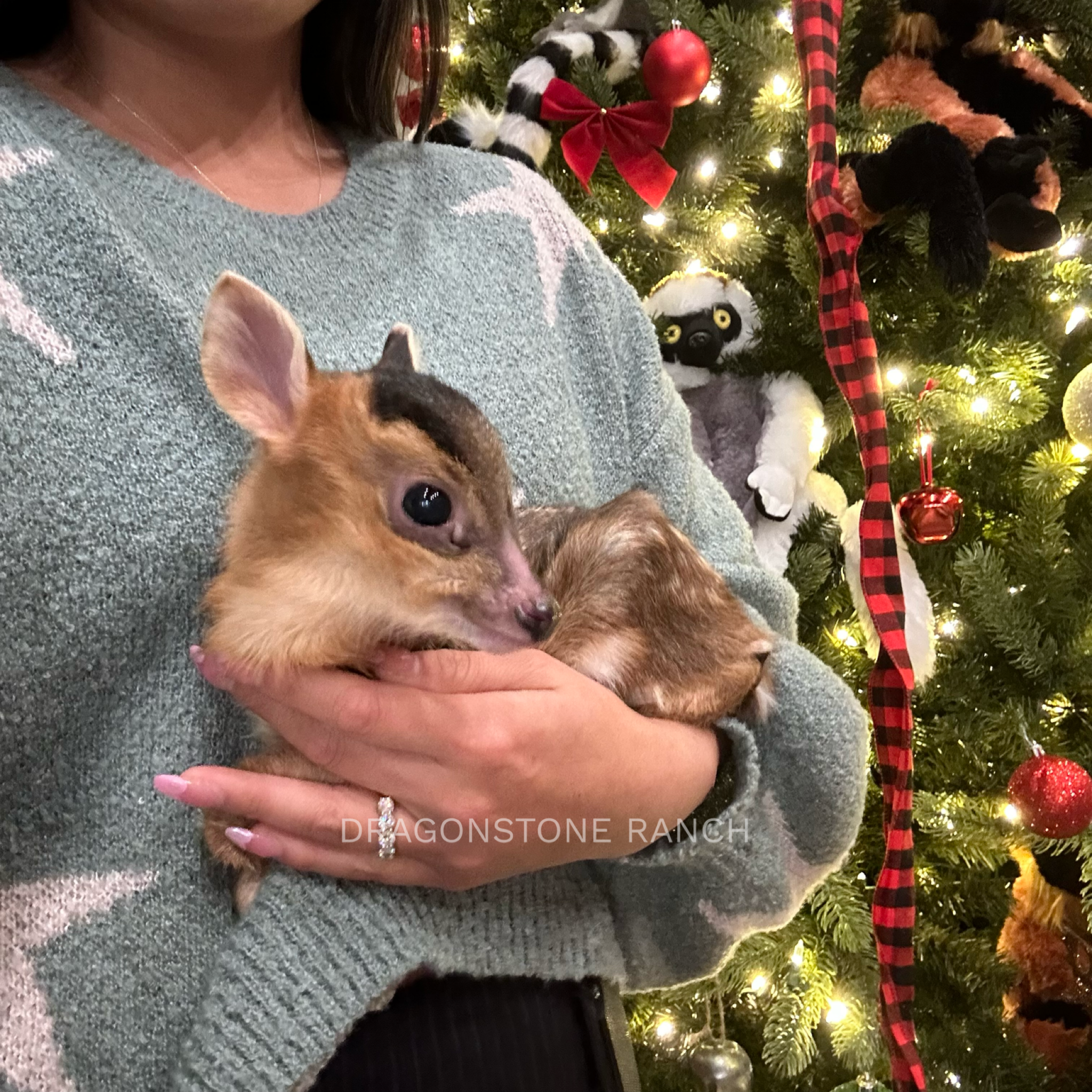 DF27D70C-BB6C-4F90-8D6A-6772D76138A2