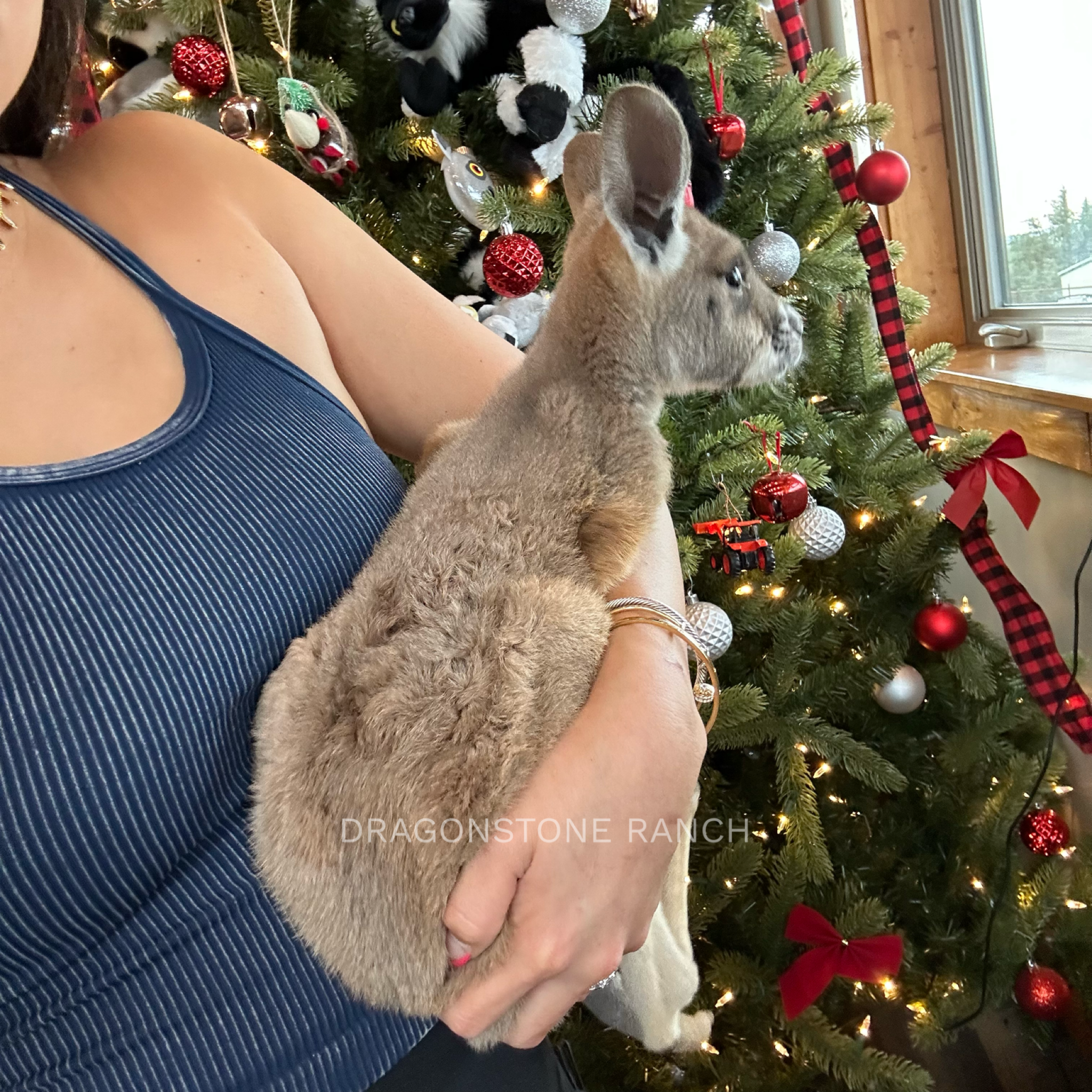 81282E96-F977-413B-81B6-7E17DDDA818D