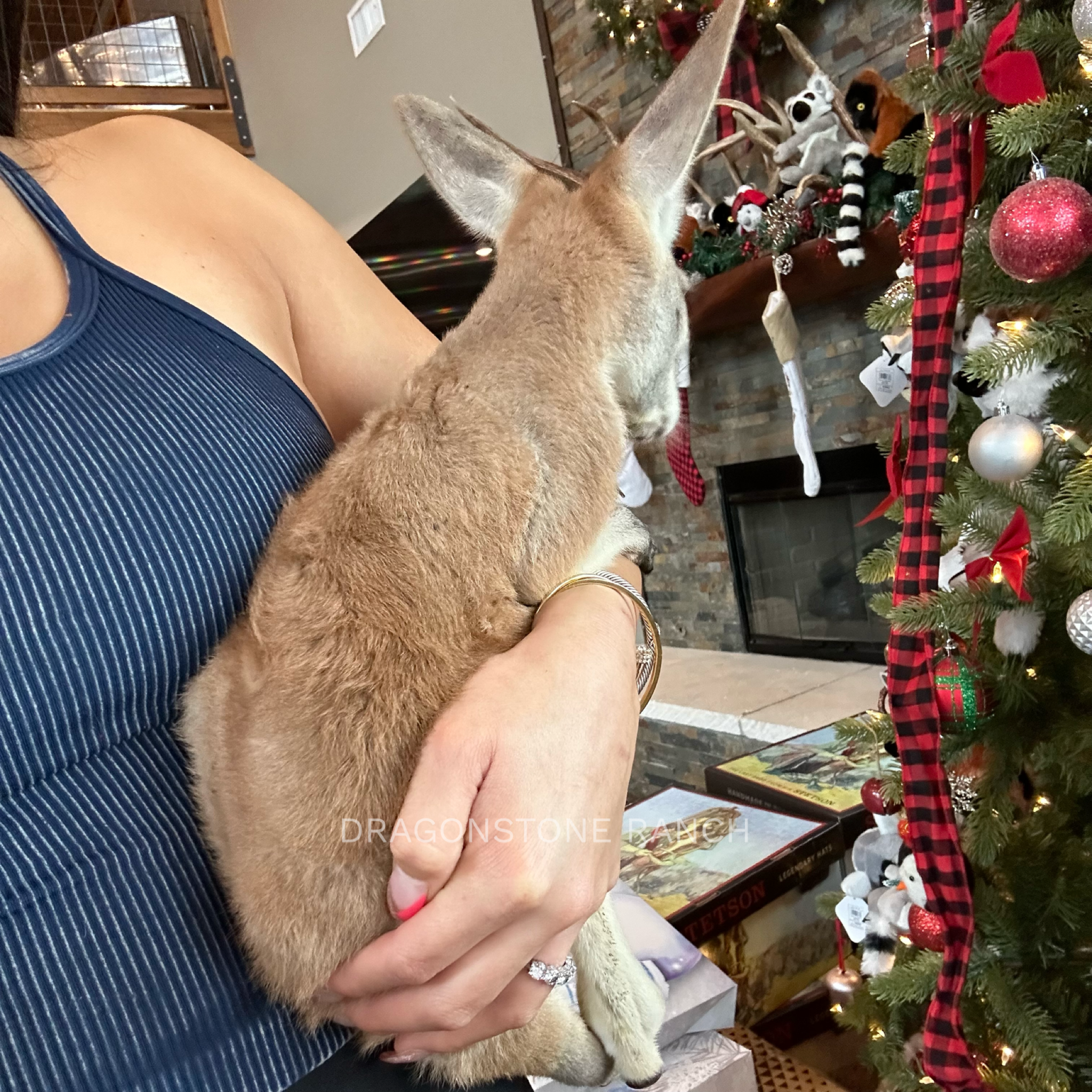 B28CCBF7-2D33-4607-A843-3B05BA469D24