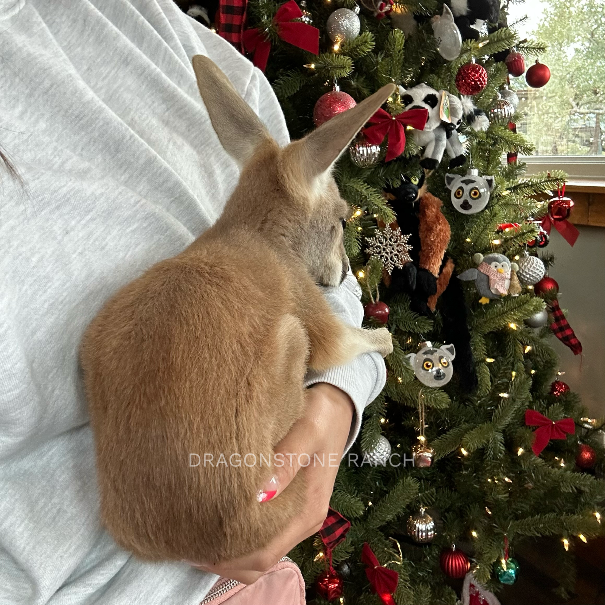 6043669A-968E-495C-AA7B-6A087AED2C72