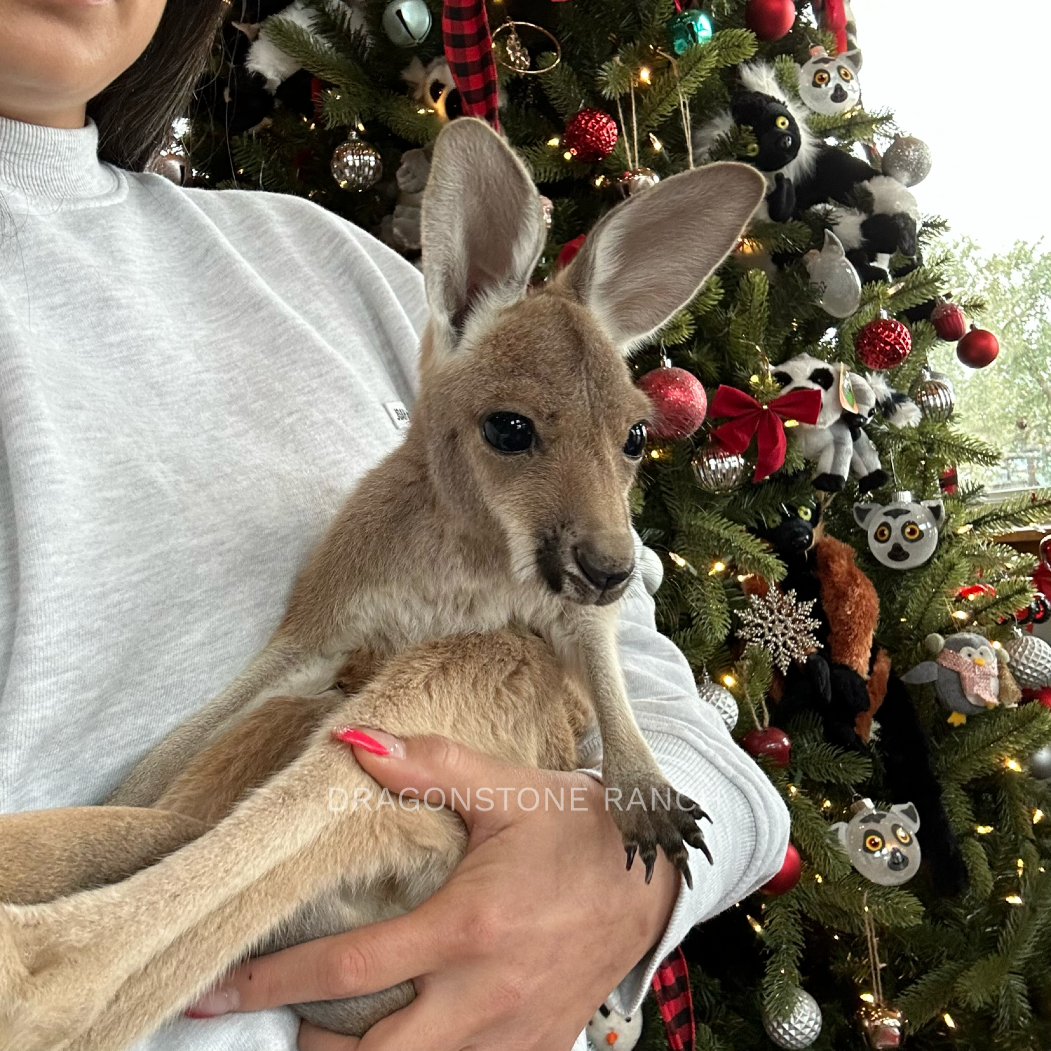 82E21D33-1344-4F69-B696-794B621B0FA9