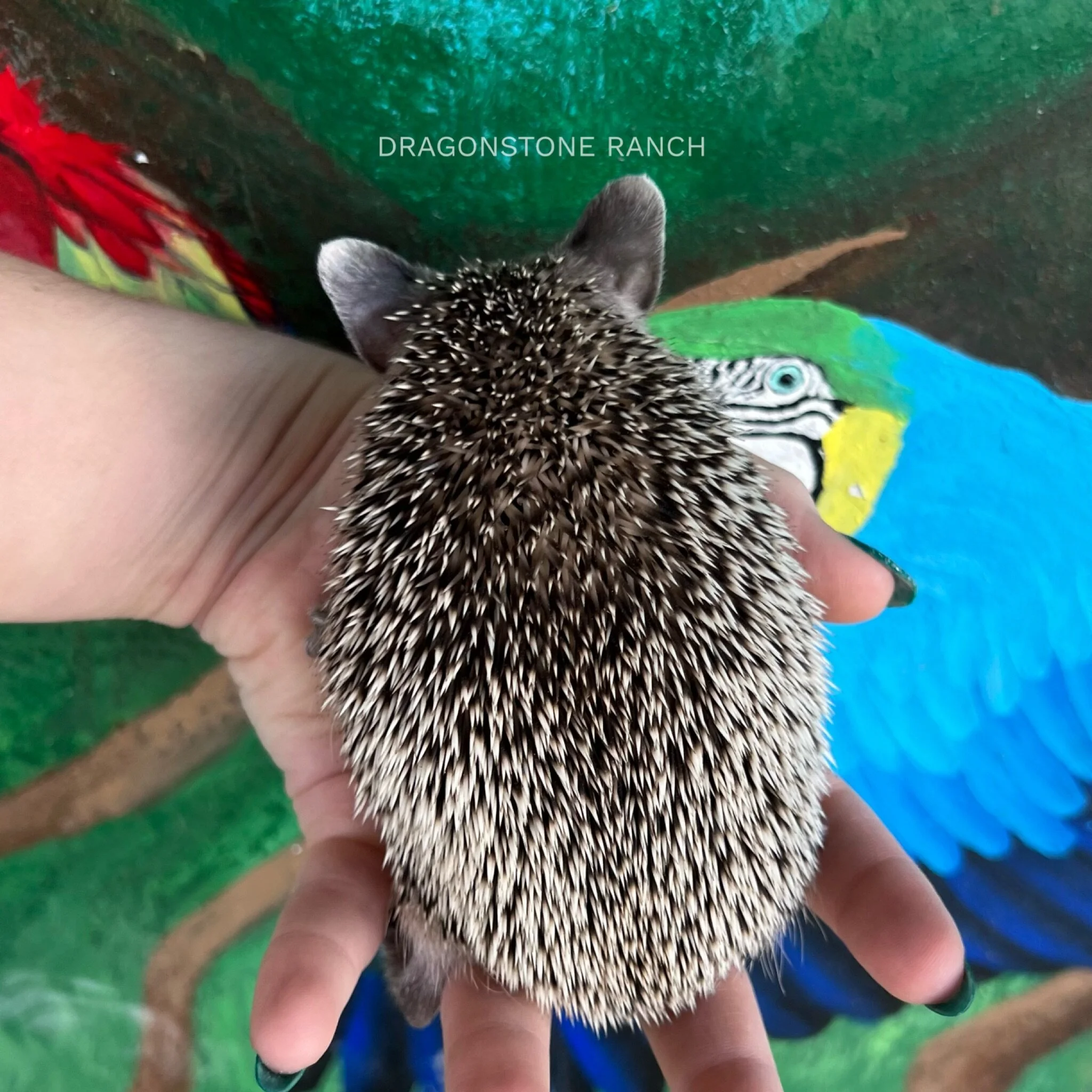 B6CE3A9A-F3D0-43FE-BFEC-D38C4D8A0AED