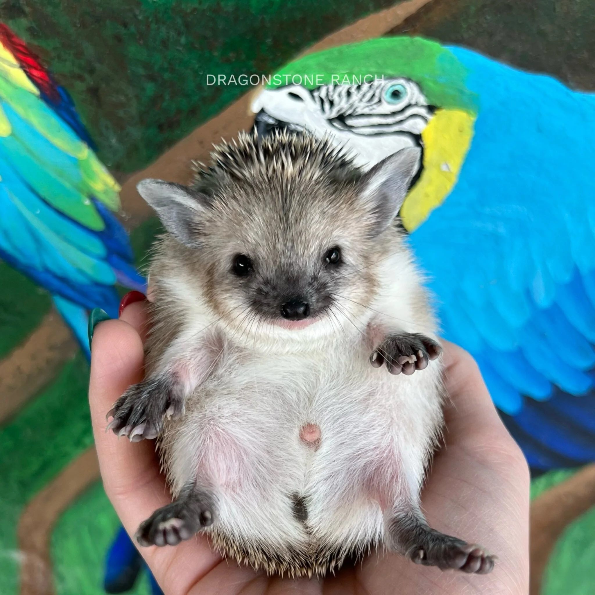 E82CE0F4-E84A-4B8F-B69E-56D25FAC24DD