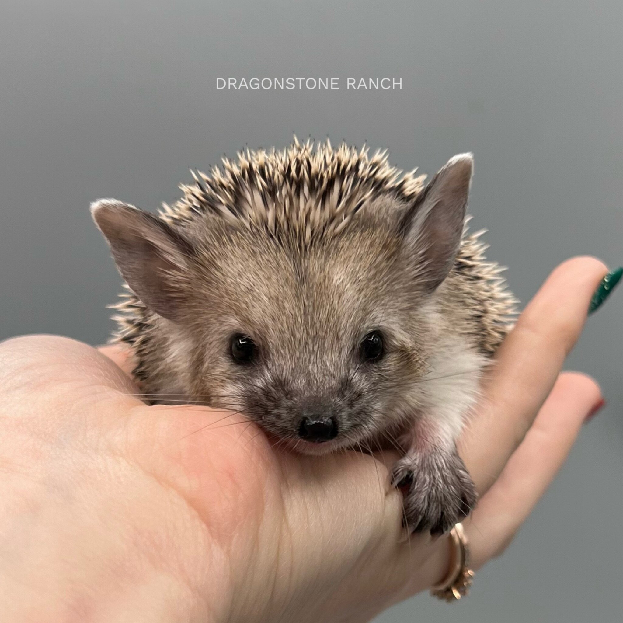 DC4B9E50-9A64-4629-B23D-5EA24E22B7C3