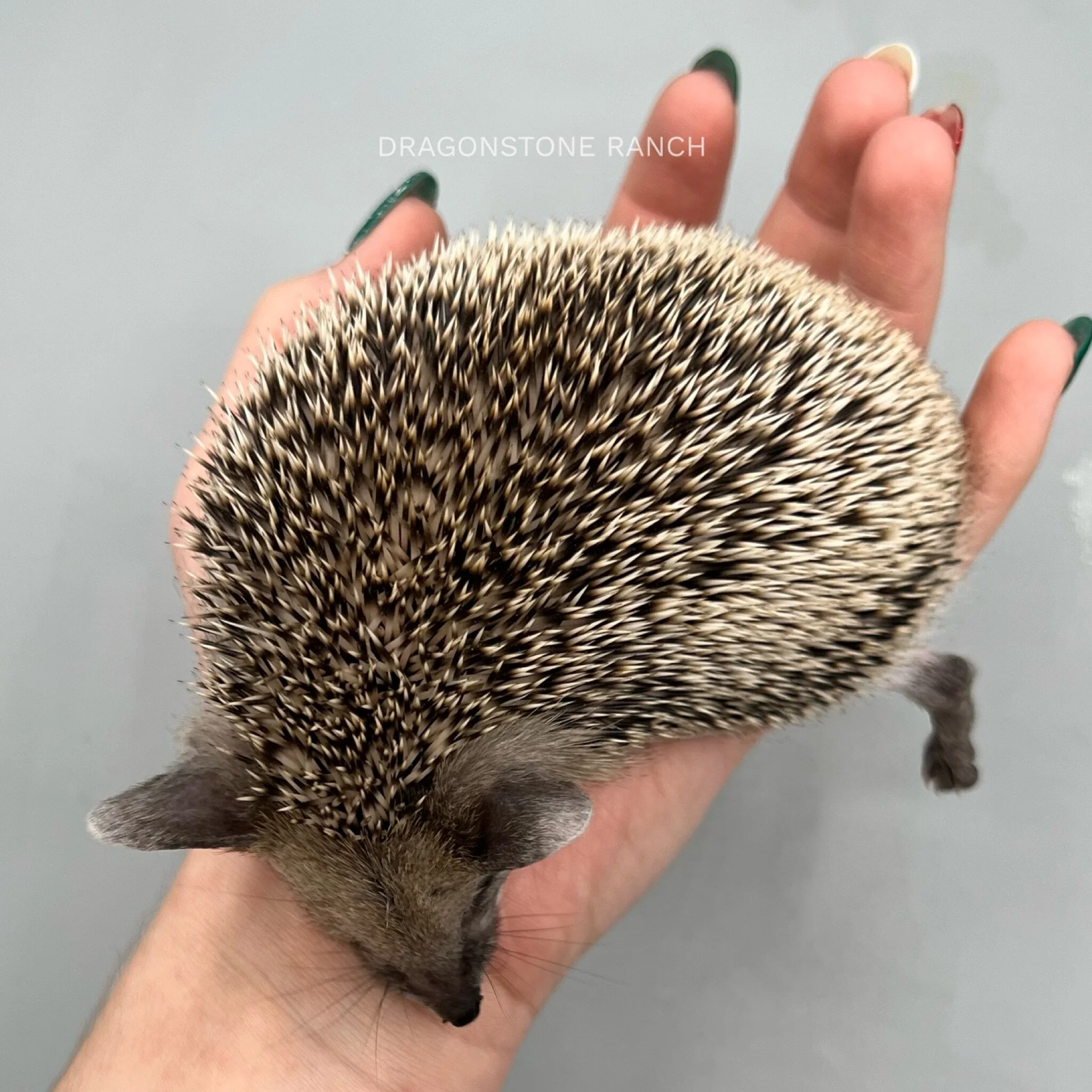 123B0EDB-3EE0-43F2-9294-EA926BAAFF79