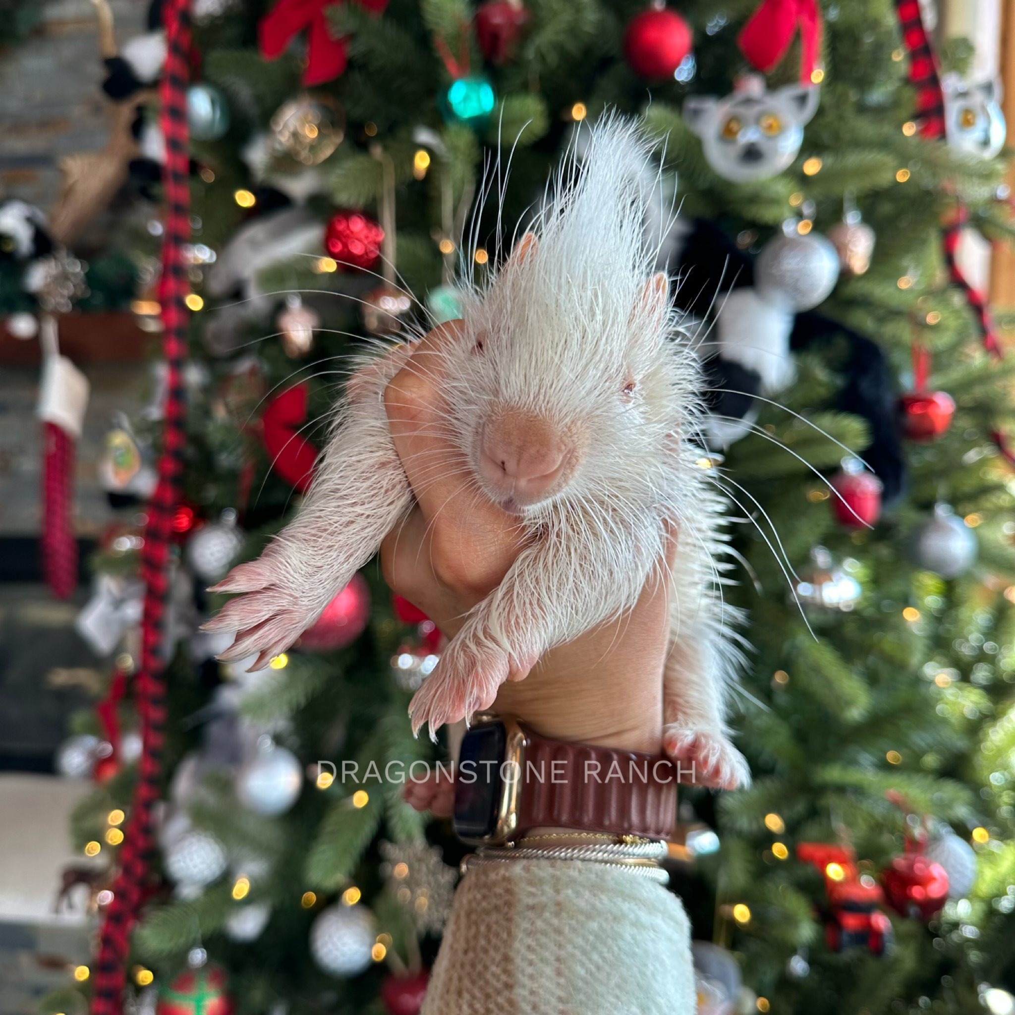 417FA27E-DEF7-4871-AB7C-3ABEAAB8F714