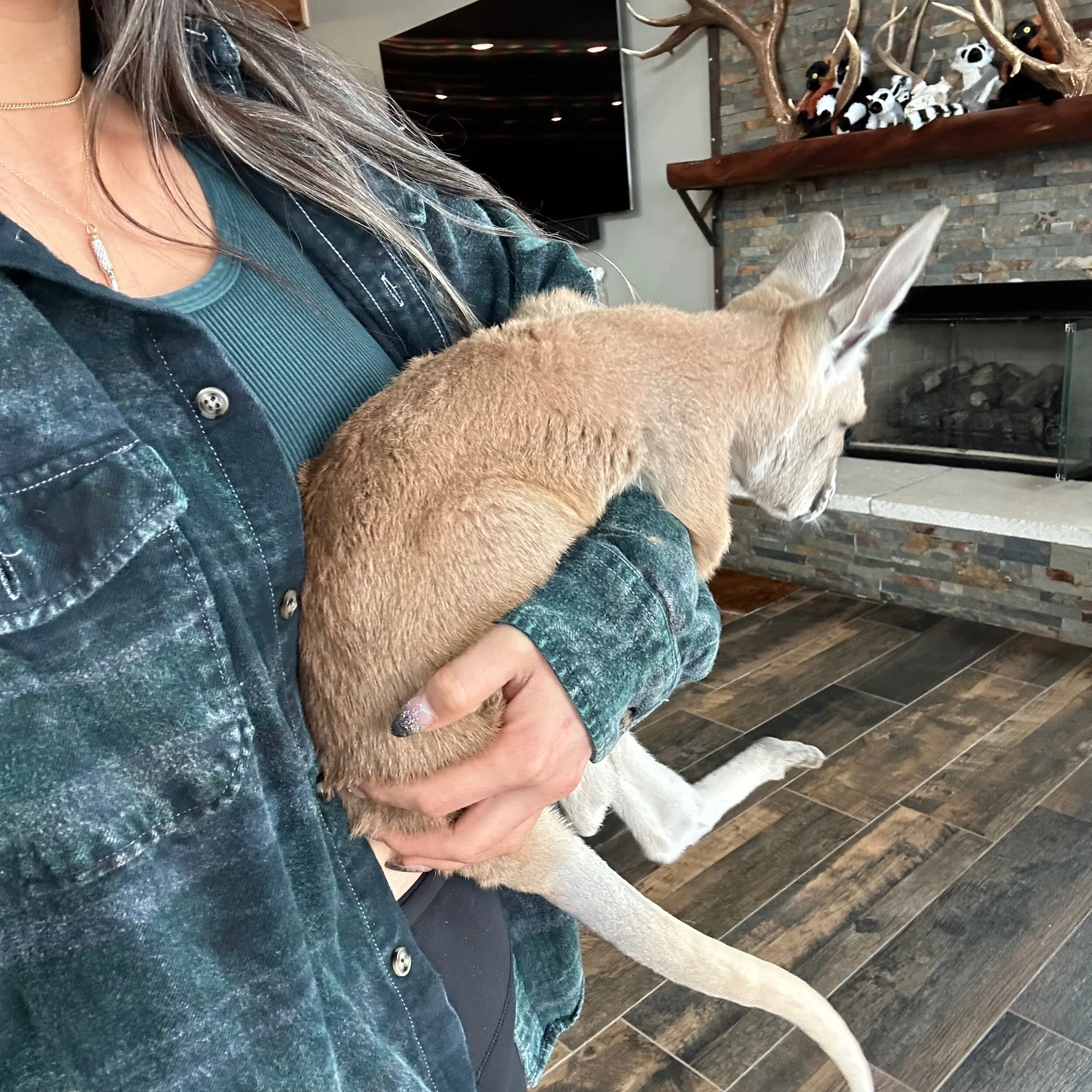 E083420A-05C5-40CB-AEB7-53D49EA3AB12