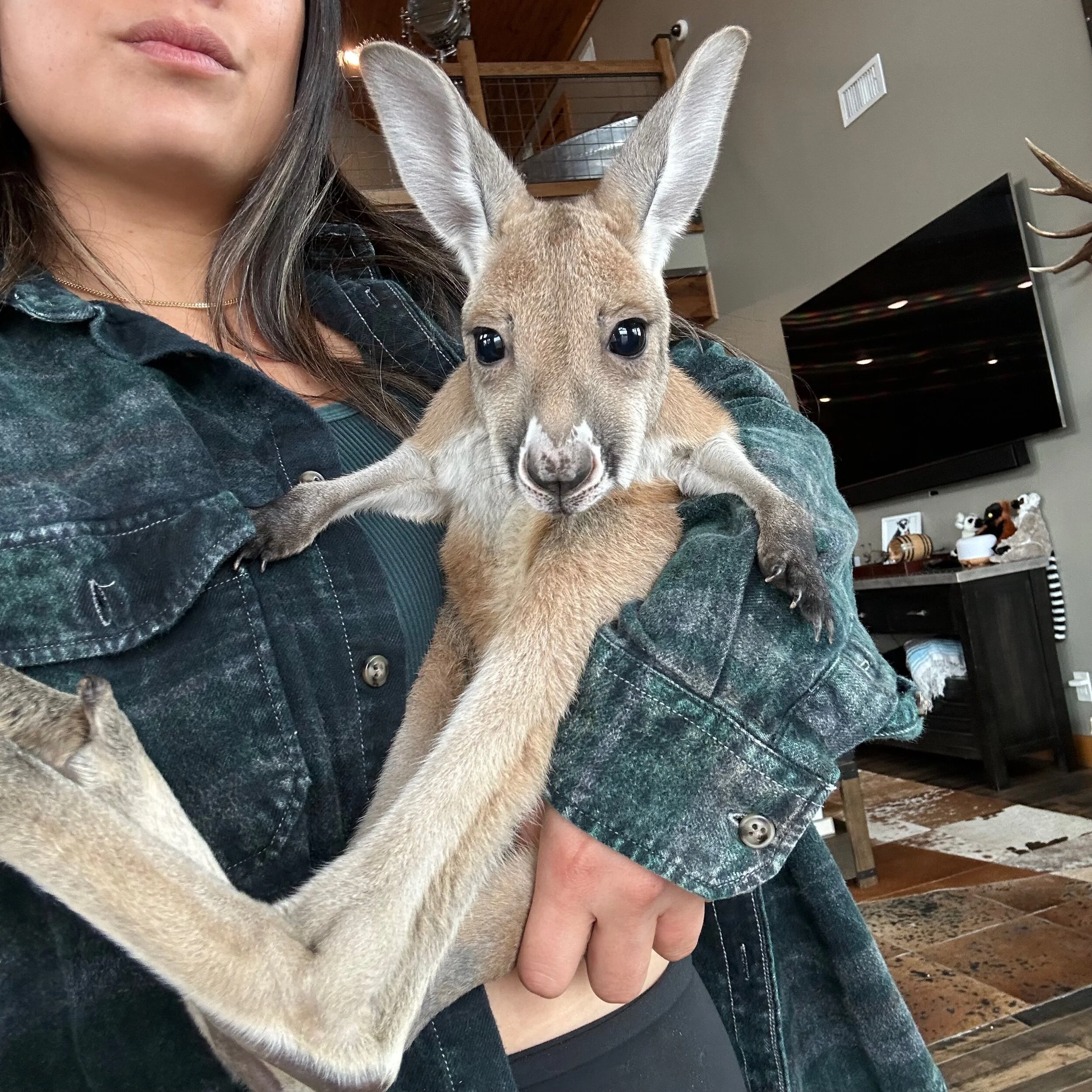 C5E3B980-C0EC-492F-BC66-68C82816ED10