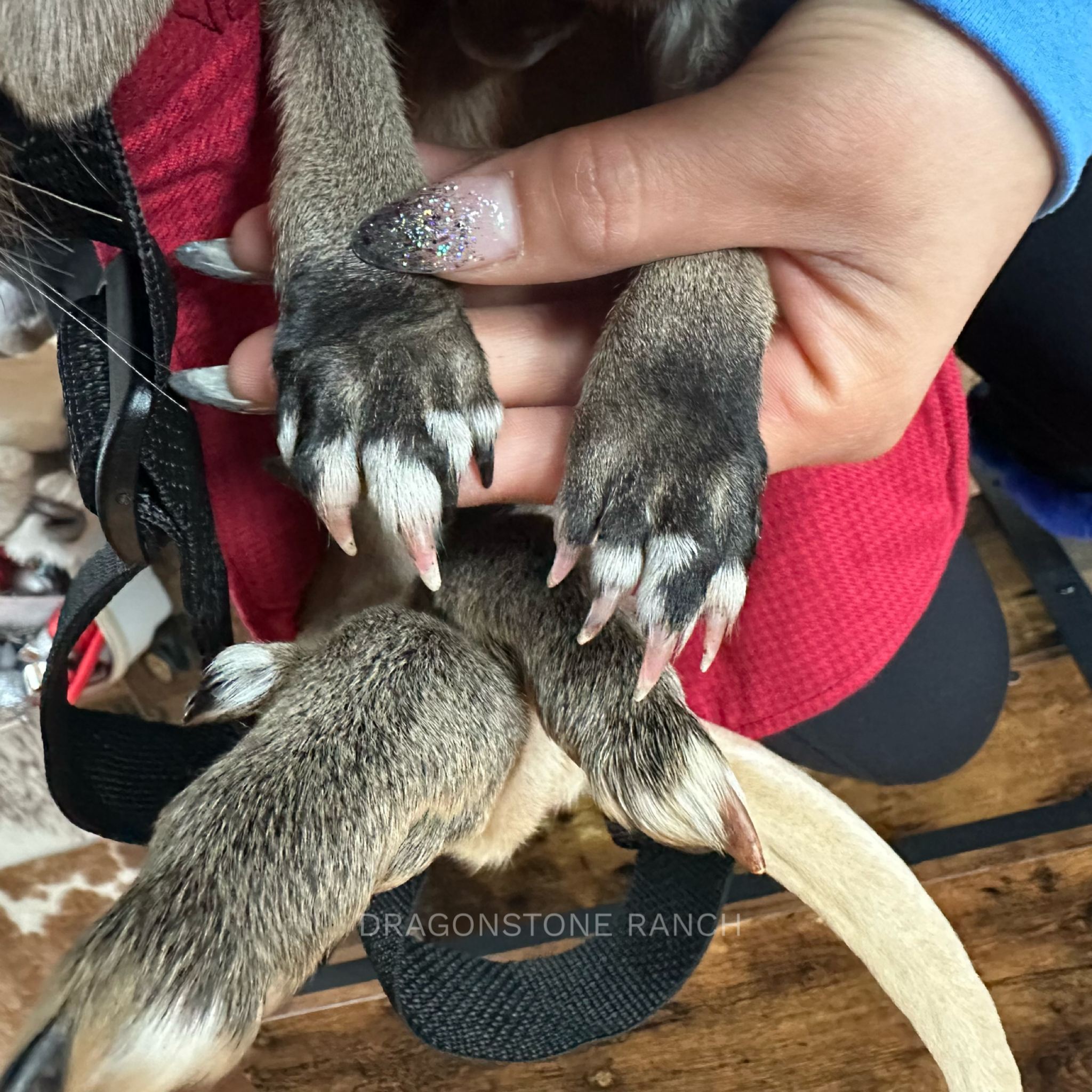 F78FF6DD-74C7-4BE2-BC94-0CA881C91935