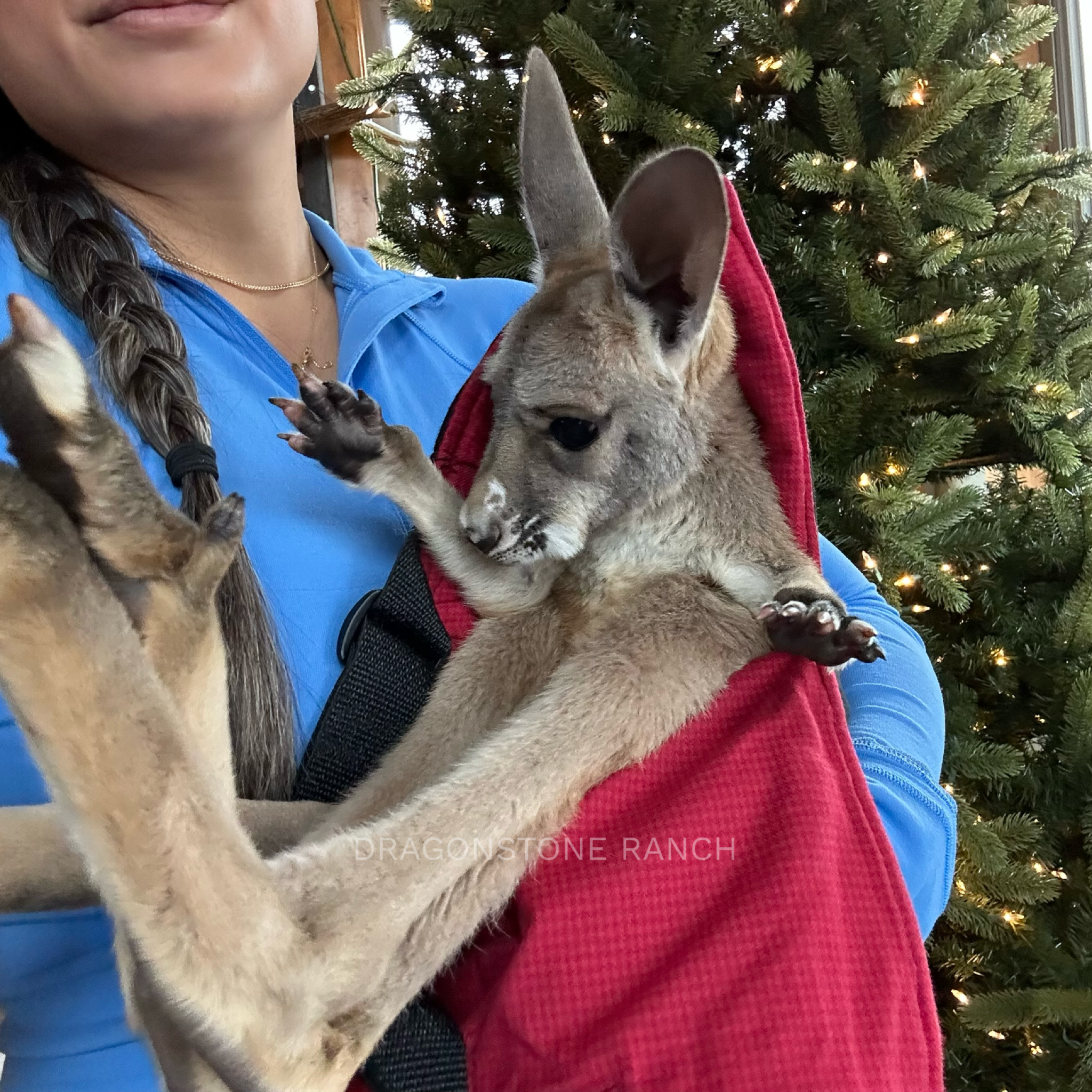 106A7063-7C5E-4F26-BA4C-BBAC8310C6D8