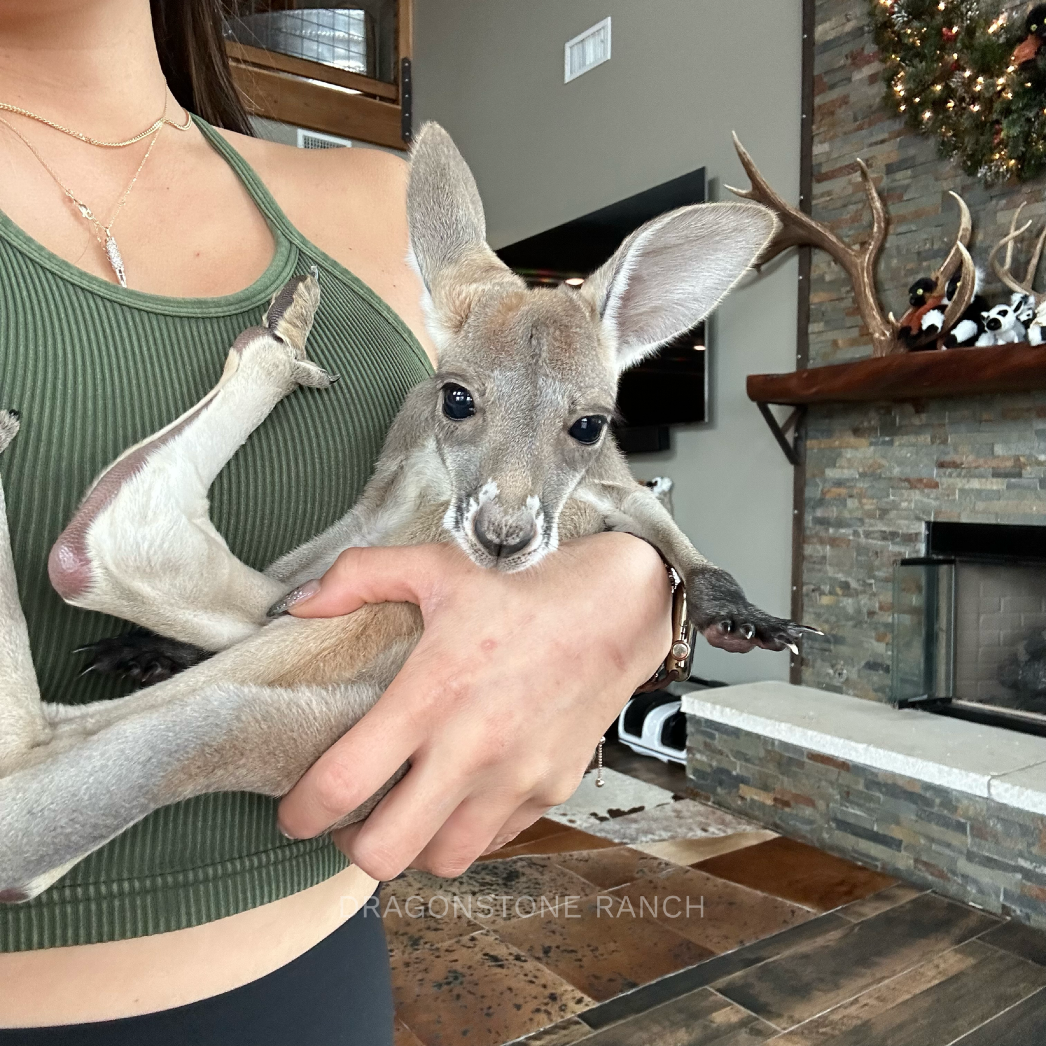 EF146712-55C5-466C-BA86-26EC742091D6