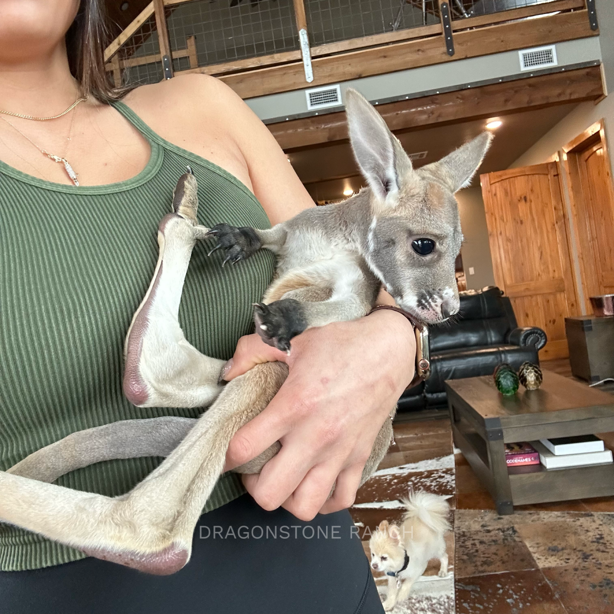 53CAD4FC-09E1-4C03-9425-E14B7F2DFB52