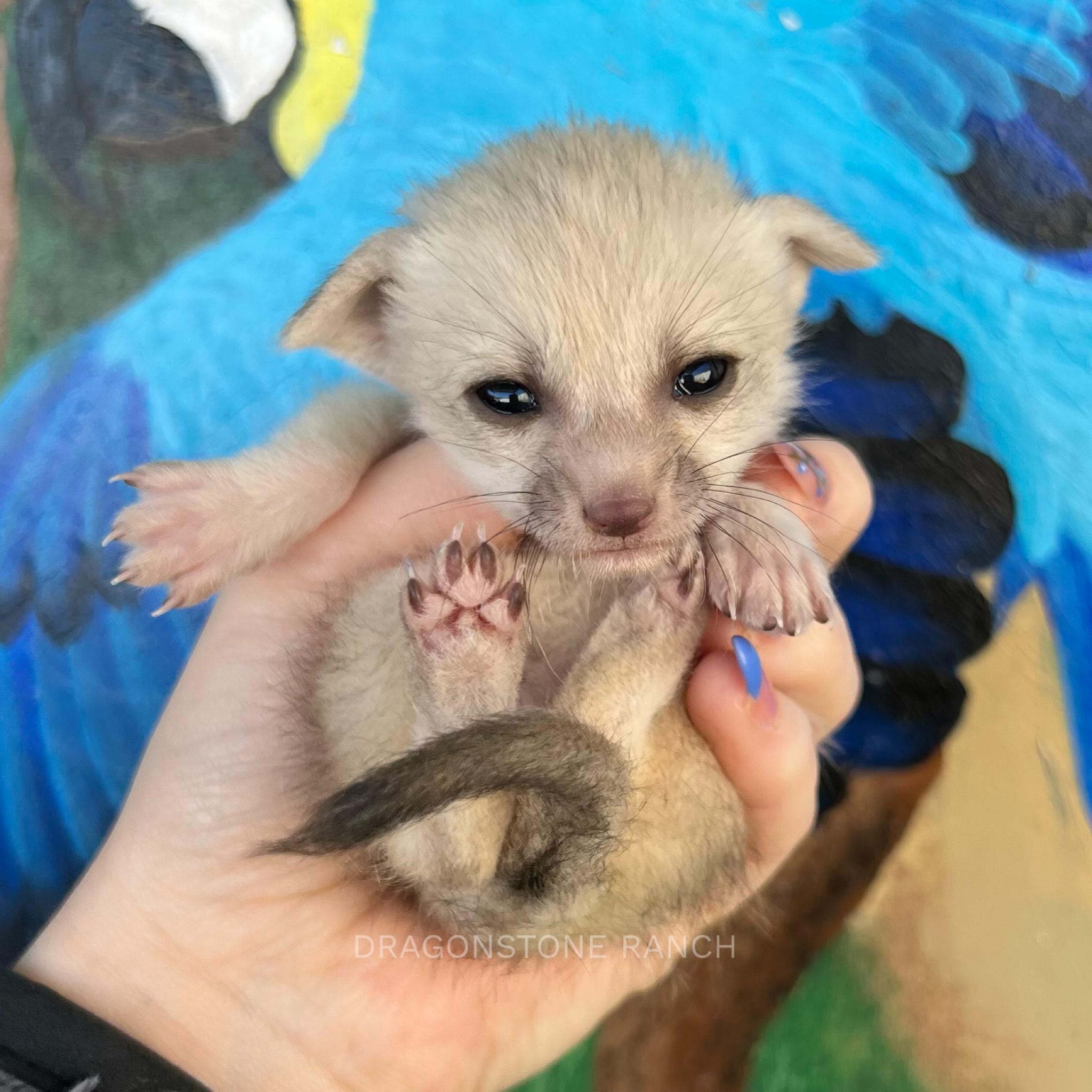 C1008F7D-089F-40C9-8BC9-4832307100D0