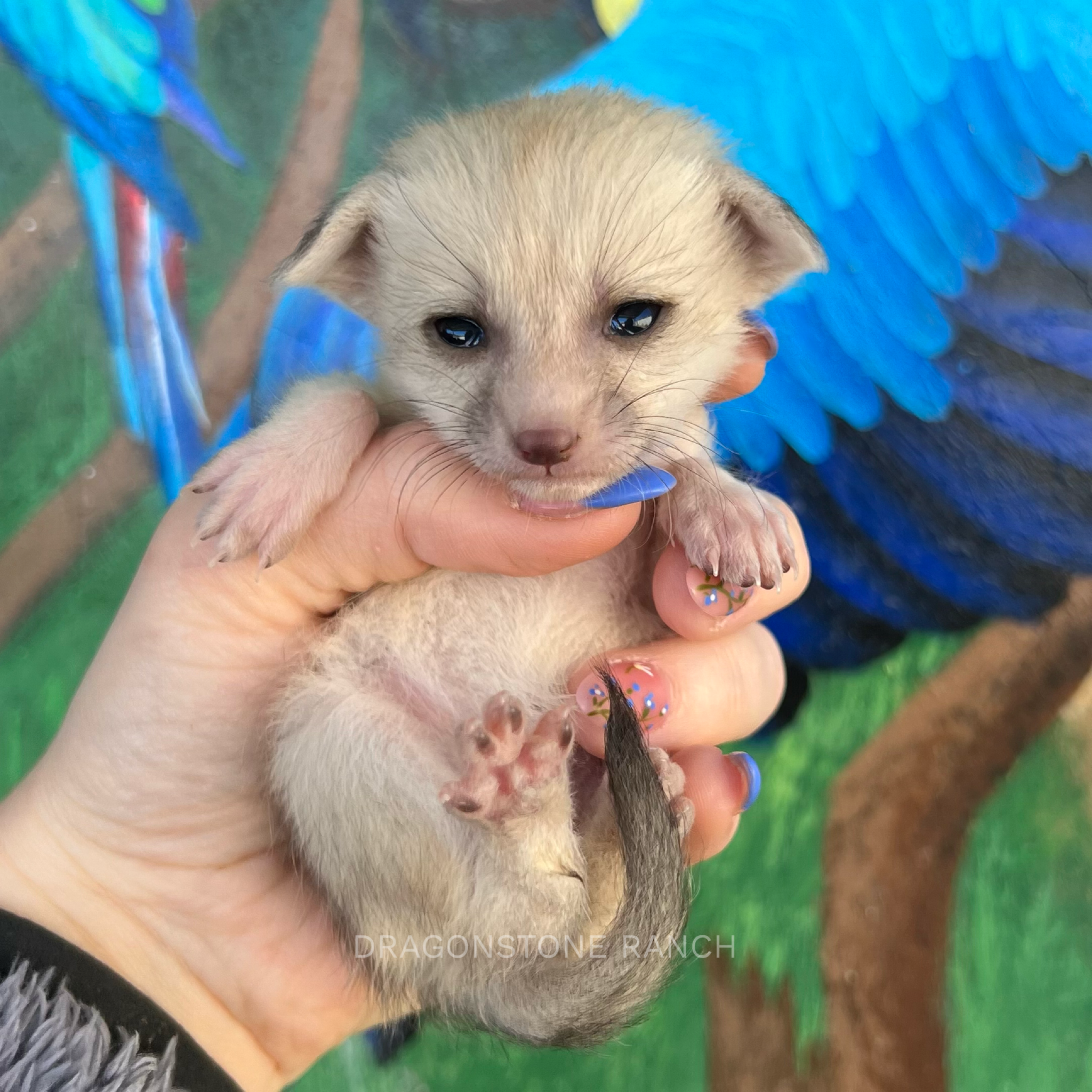 4CE49E35-3713-4BD6-A94F-21B228947767