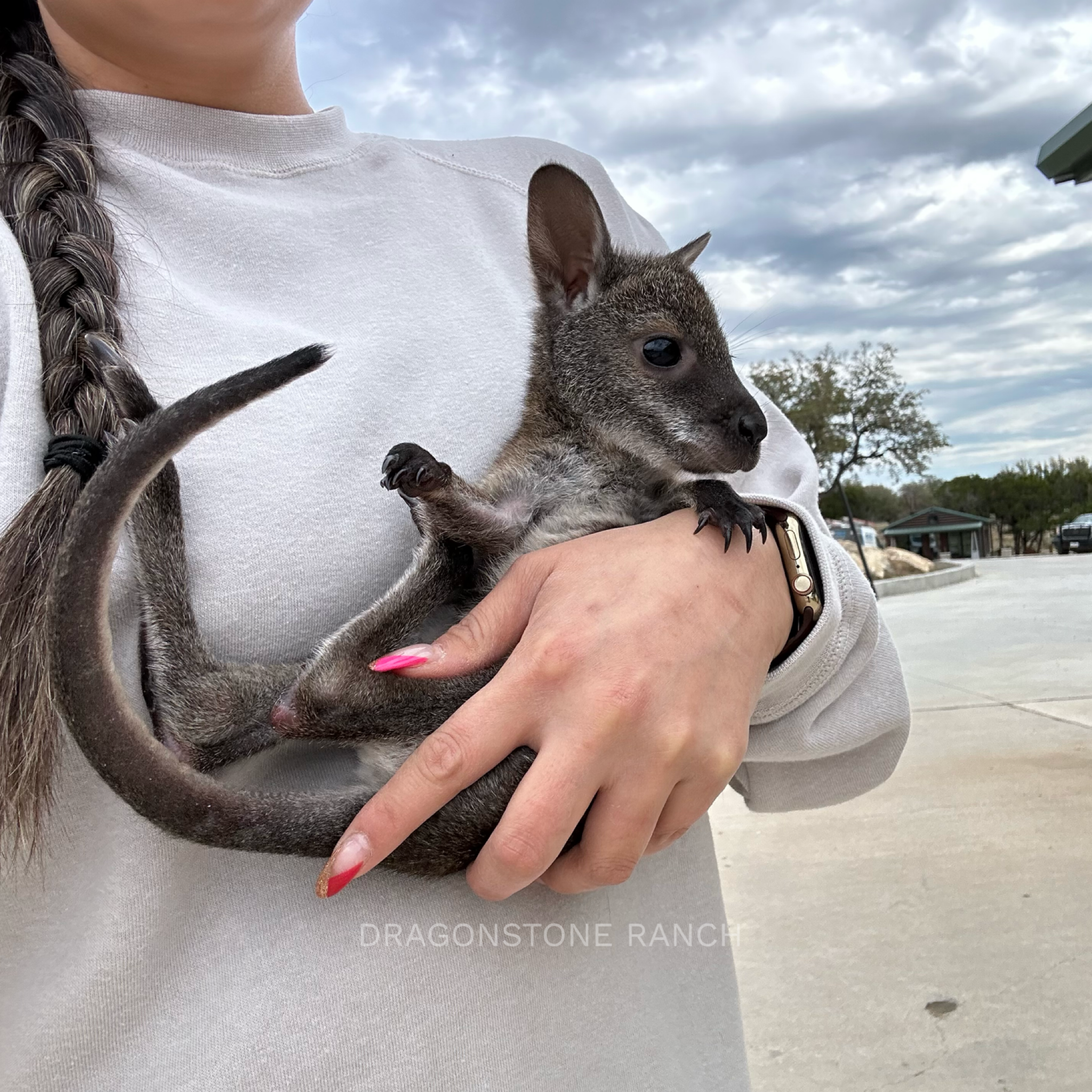 DE3C5B4E-AD5E-4CE4-81FD-B933D1D0A644