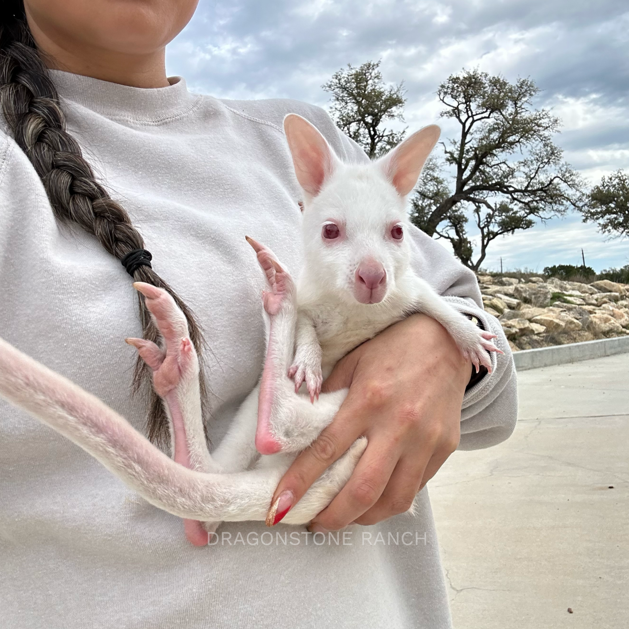 FAA87C6F-8AF6-4605-AA79-03FBECF7979A