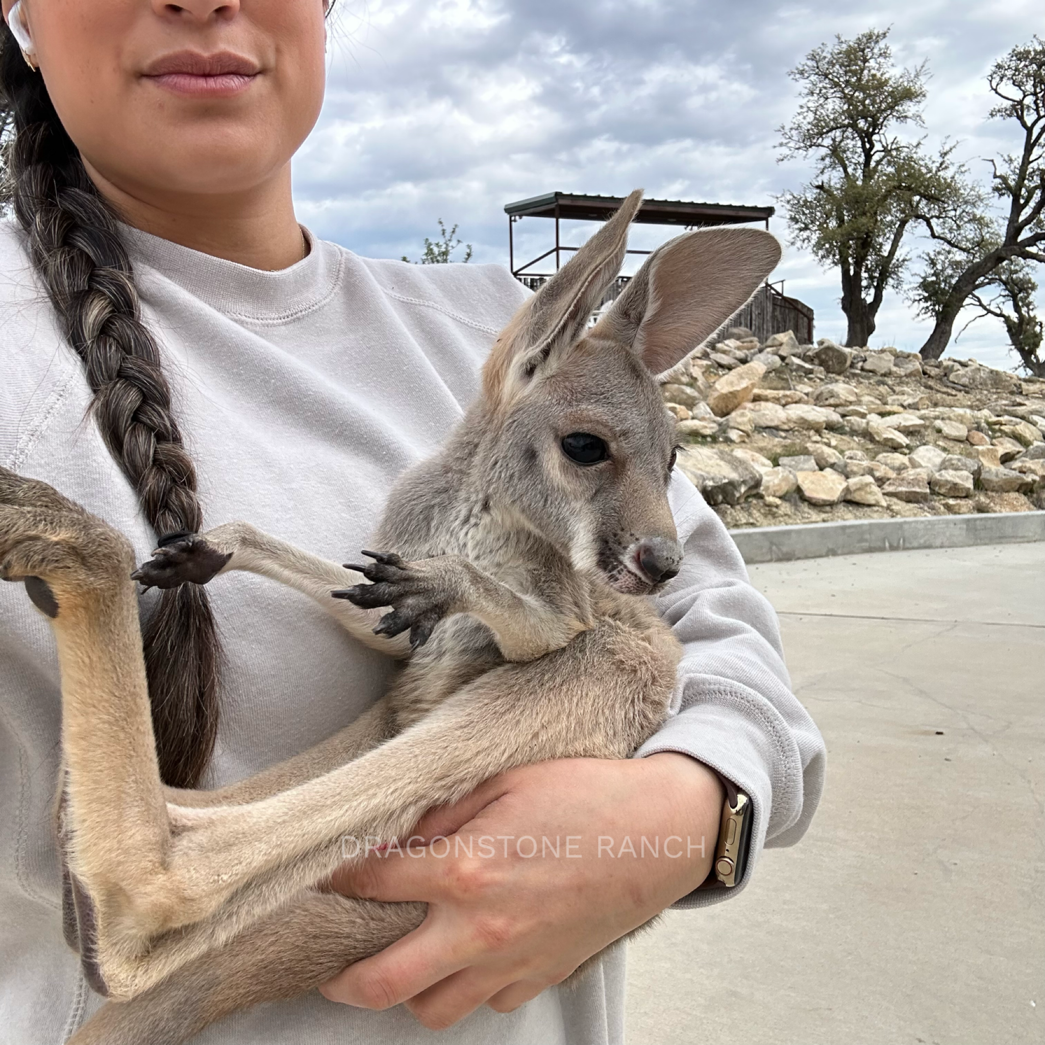 BDD81BDC-3525-4E57-BBDF-2EB4827AB159