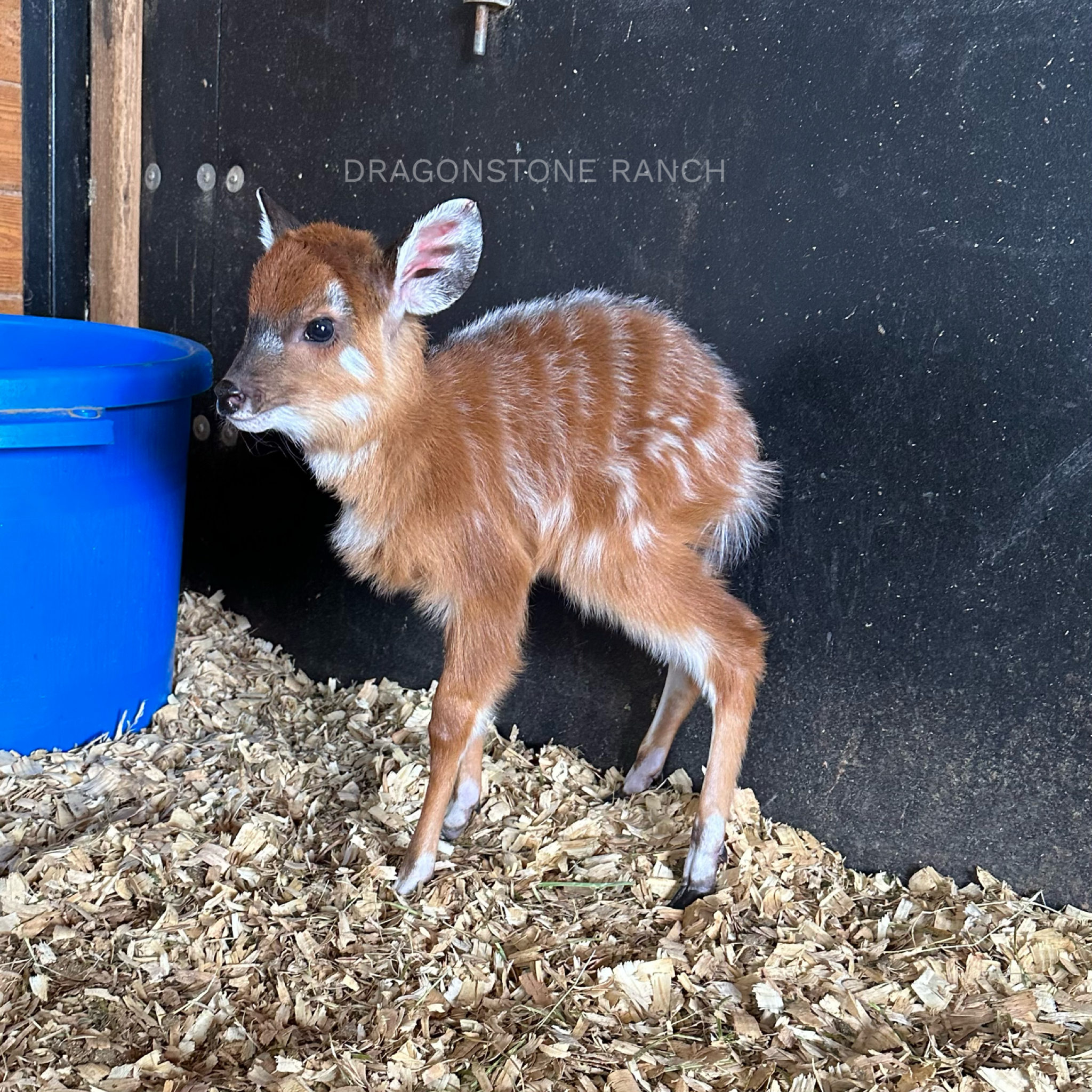 33138547-8DB6-4C9C-A1B4-3A7398E7A10A