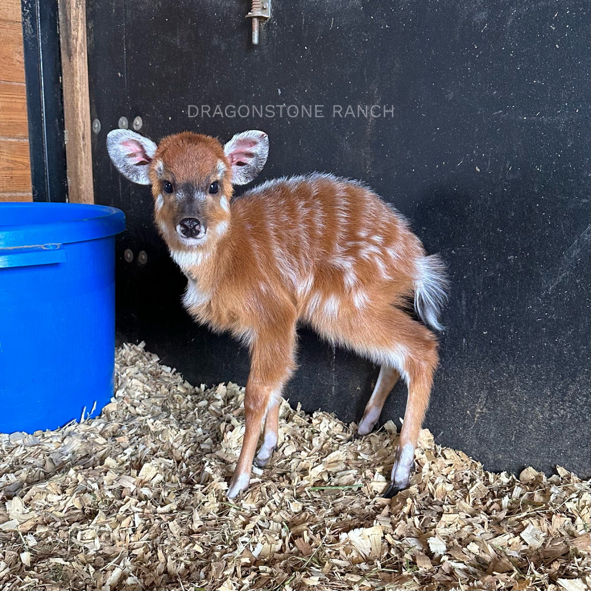 B1706B3E-8976-4FE1-8832-3730DA1C398E