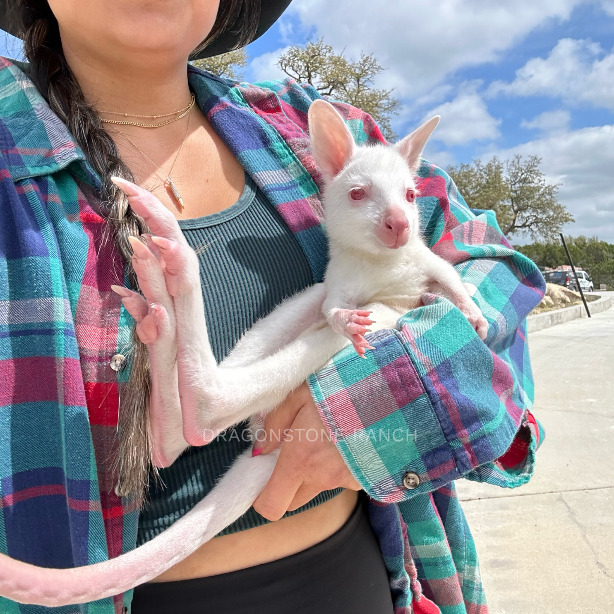 6A7536EA-BBF5-4FEF-9076-AE2742702010