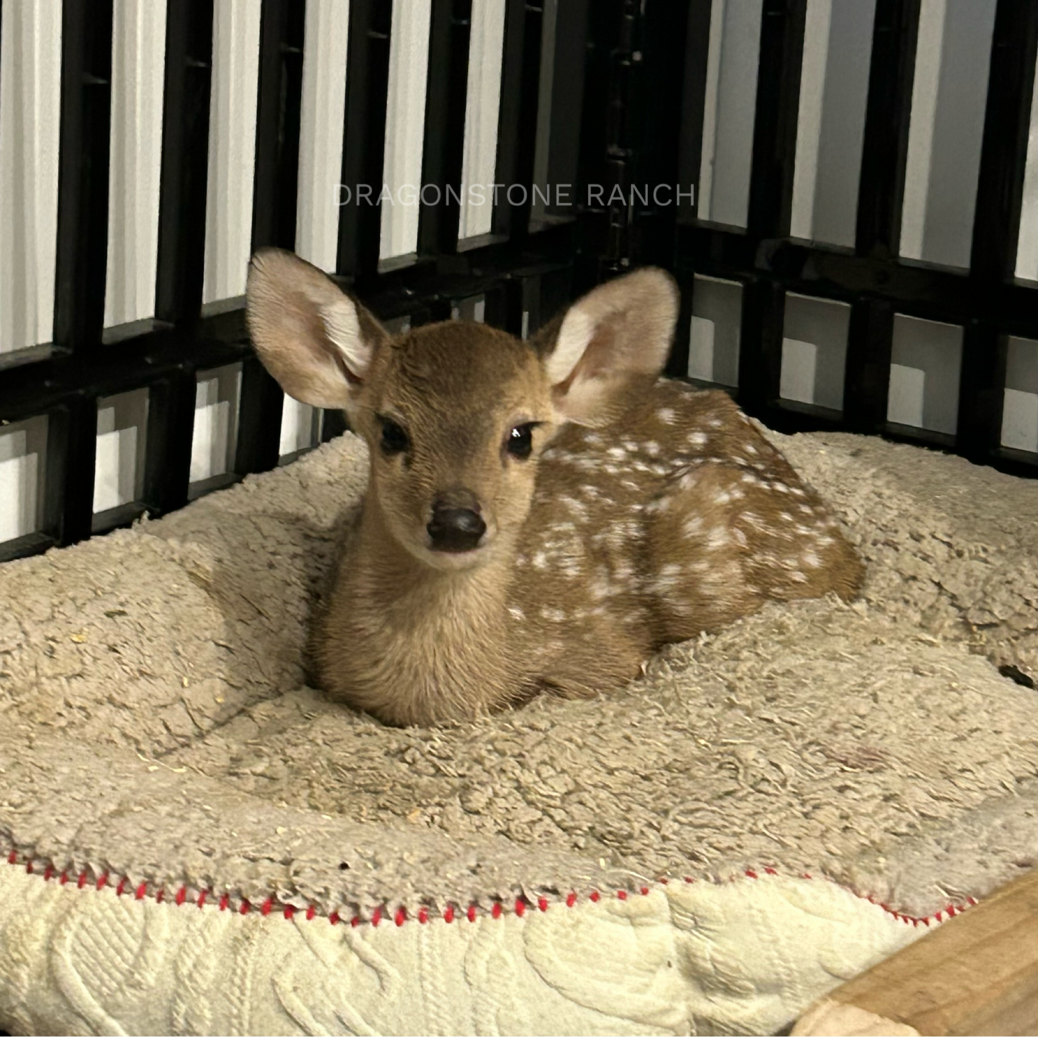 6922C985-1D04-46EB-B537-9404B978DB9D