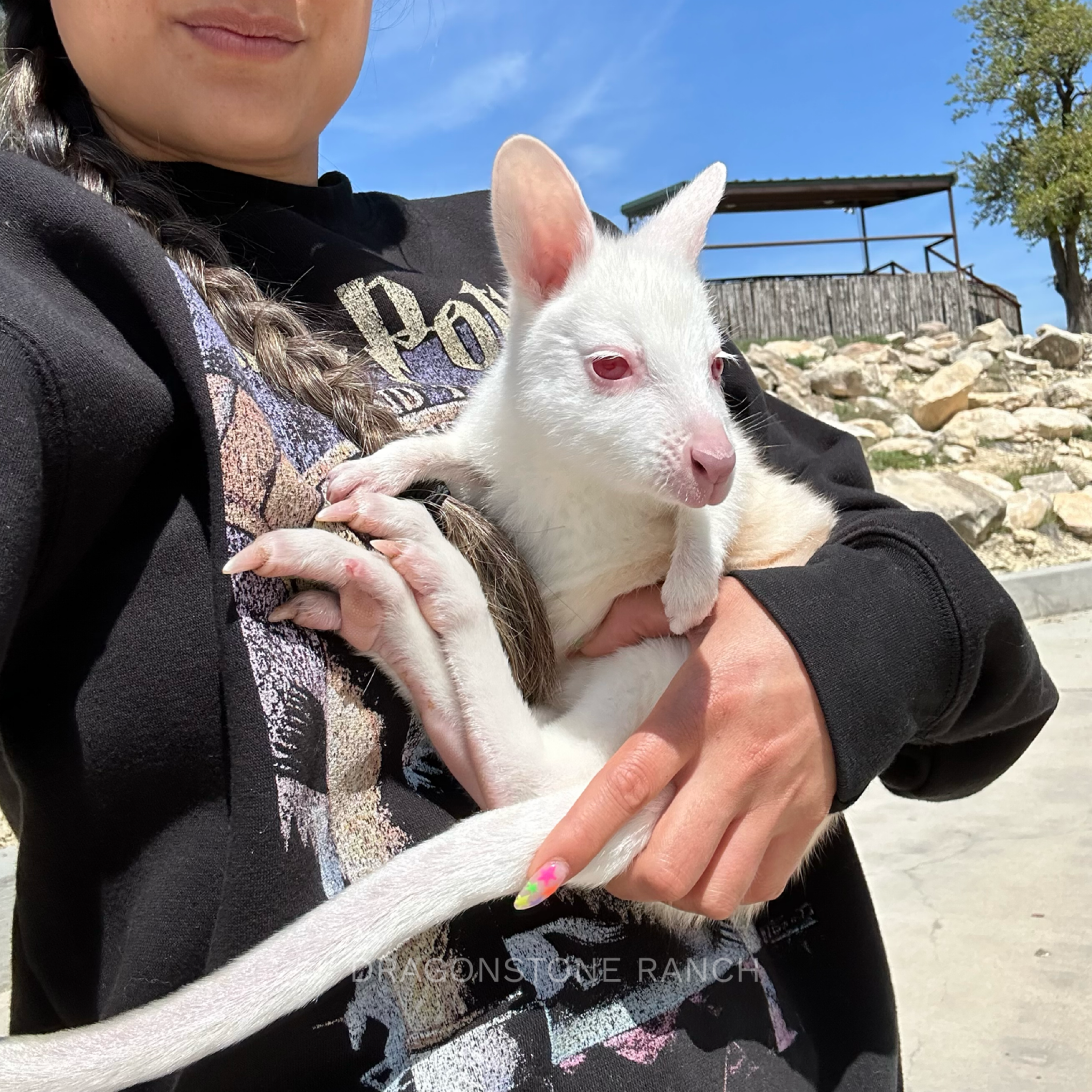 97AEBC5D-5612-42FA-A382-D77ABCF0242E