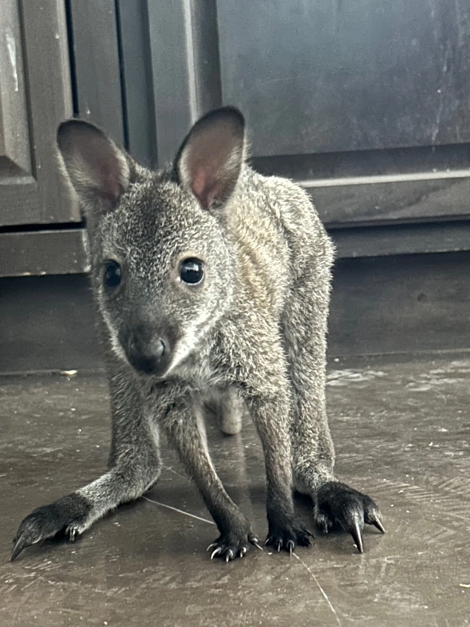 2E3F72AF-45B3-48B4-B7A5-BF39F453F3AD