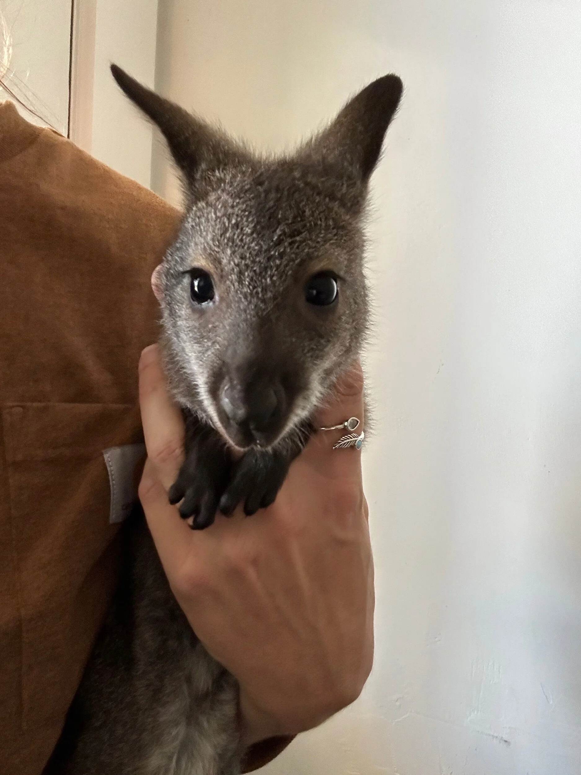 6238D805-8D9B-4D91-8333-2D02D7046128