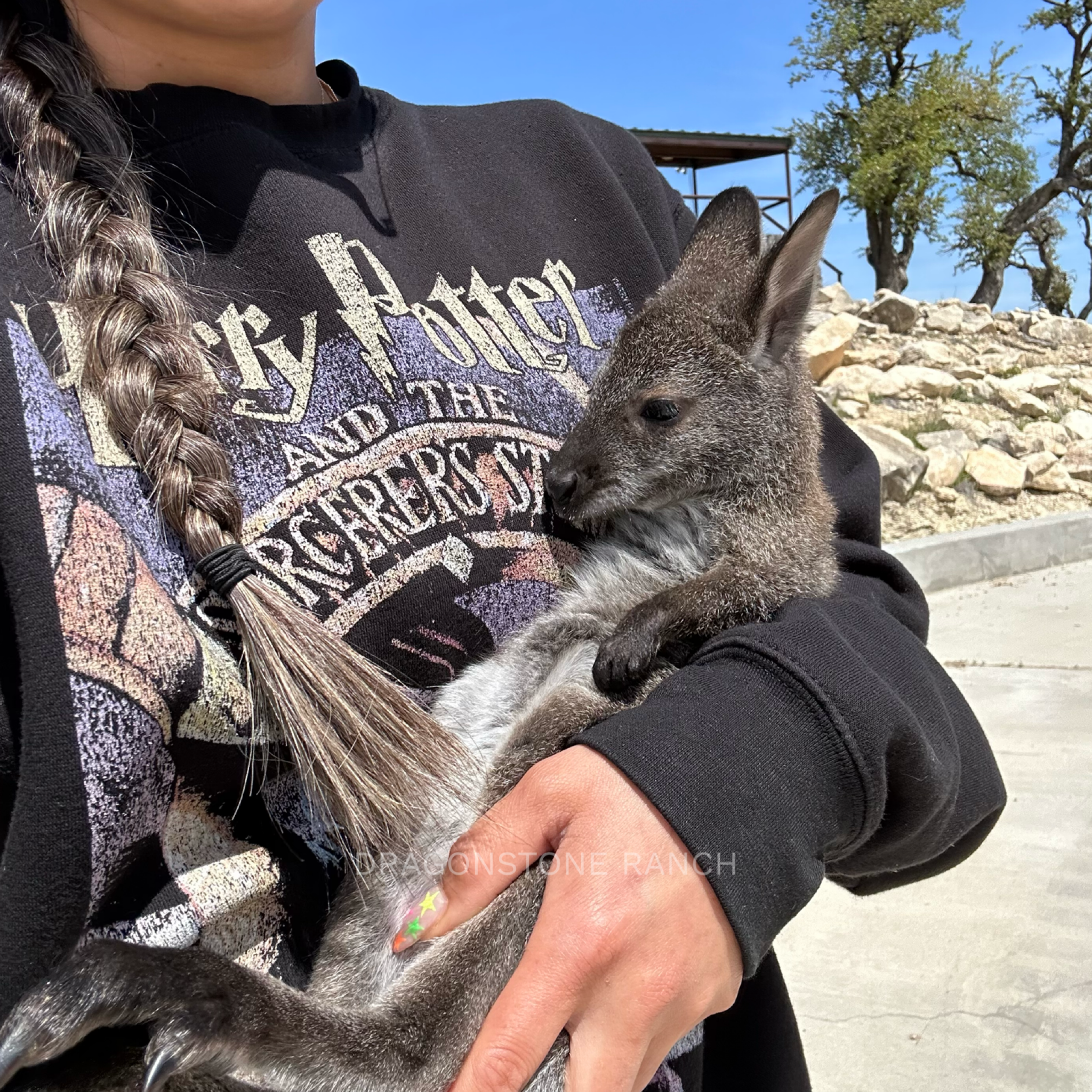 14B92B2C-C69B-4FCD-818B-CB02F8286FE2